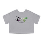 aroplane