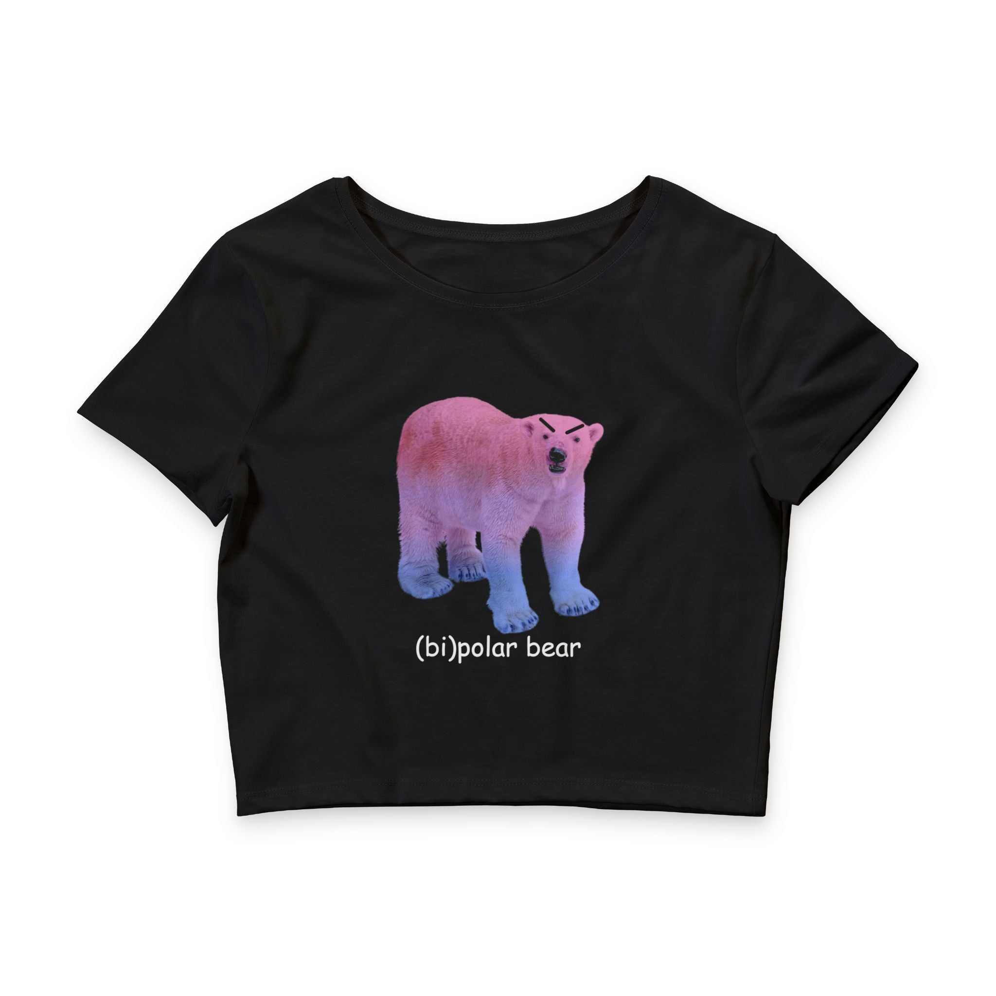 (bi)polar bear