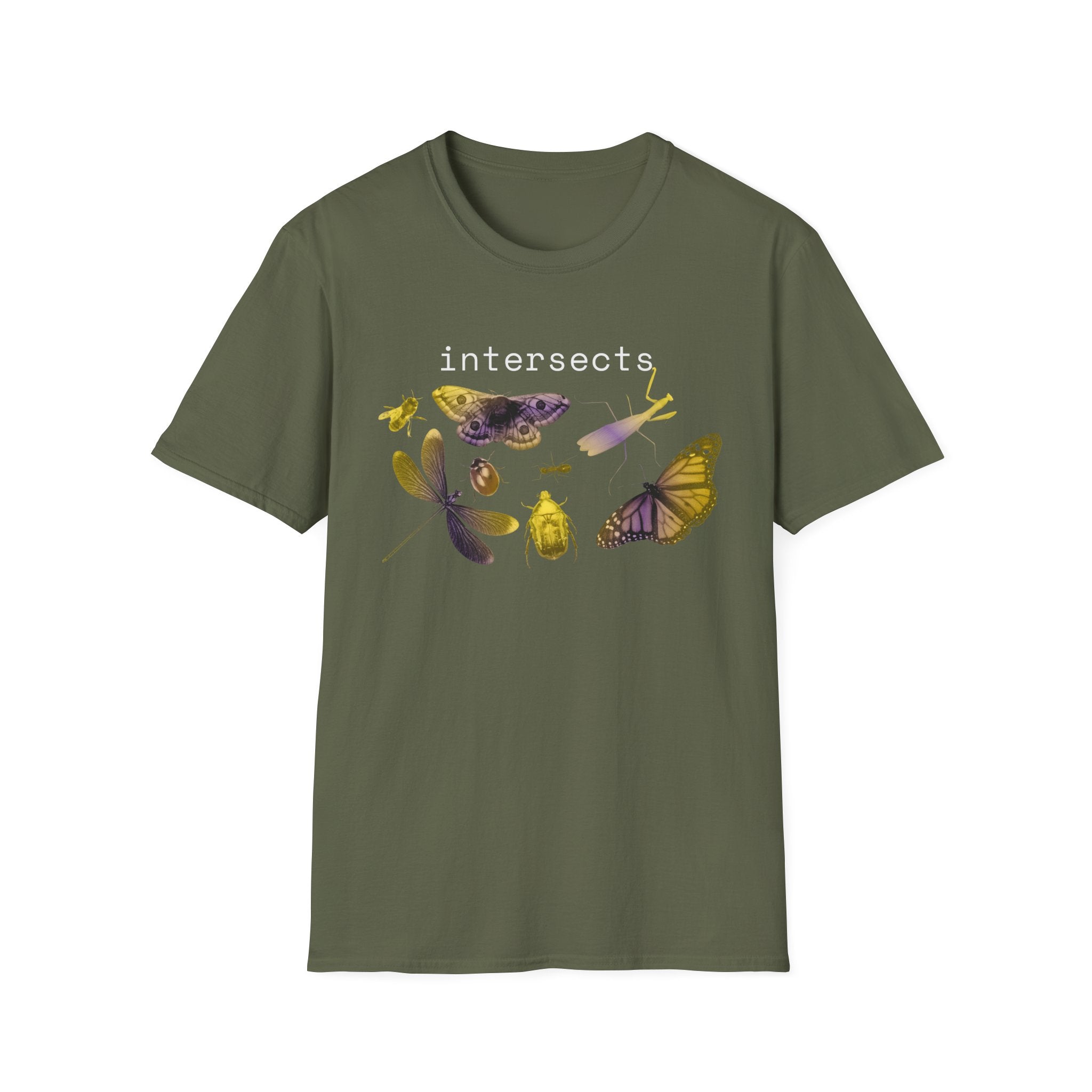 intersects