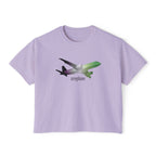aroplane
