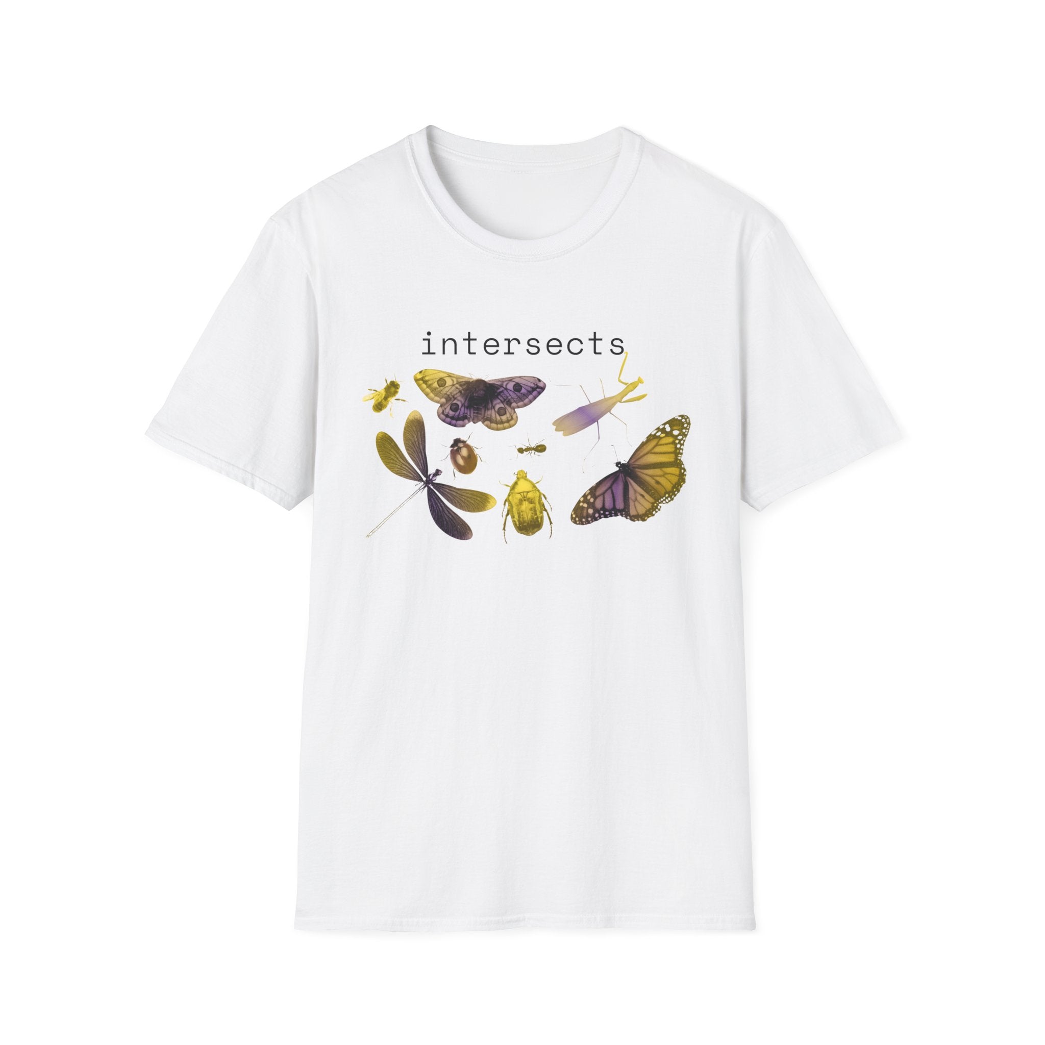 intersects
