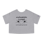 arachnophobia is so stupid just let spiders get married