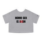 HOMO SEX IS IN