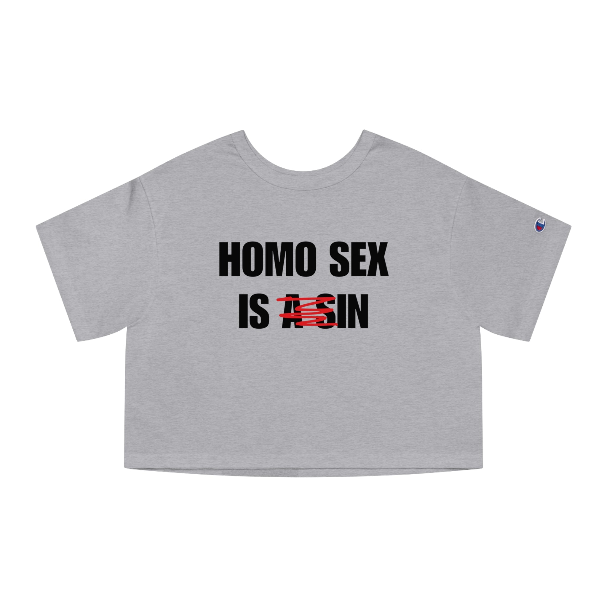 HOMO SEX IS IN