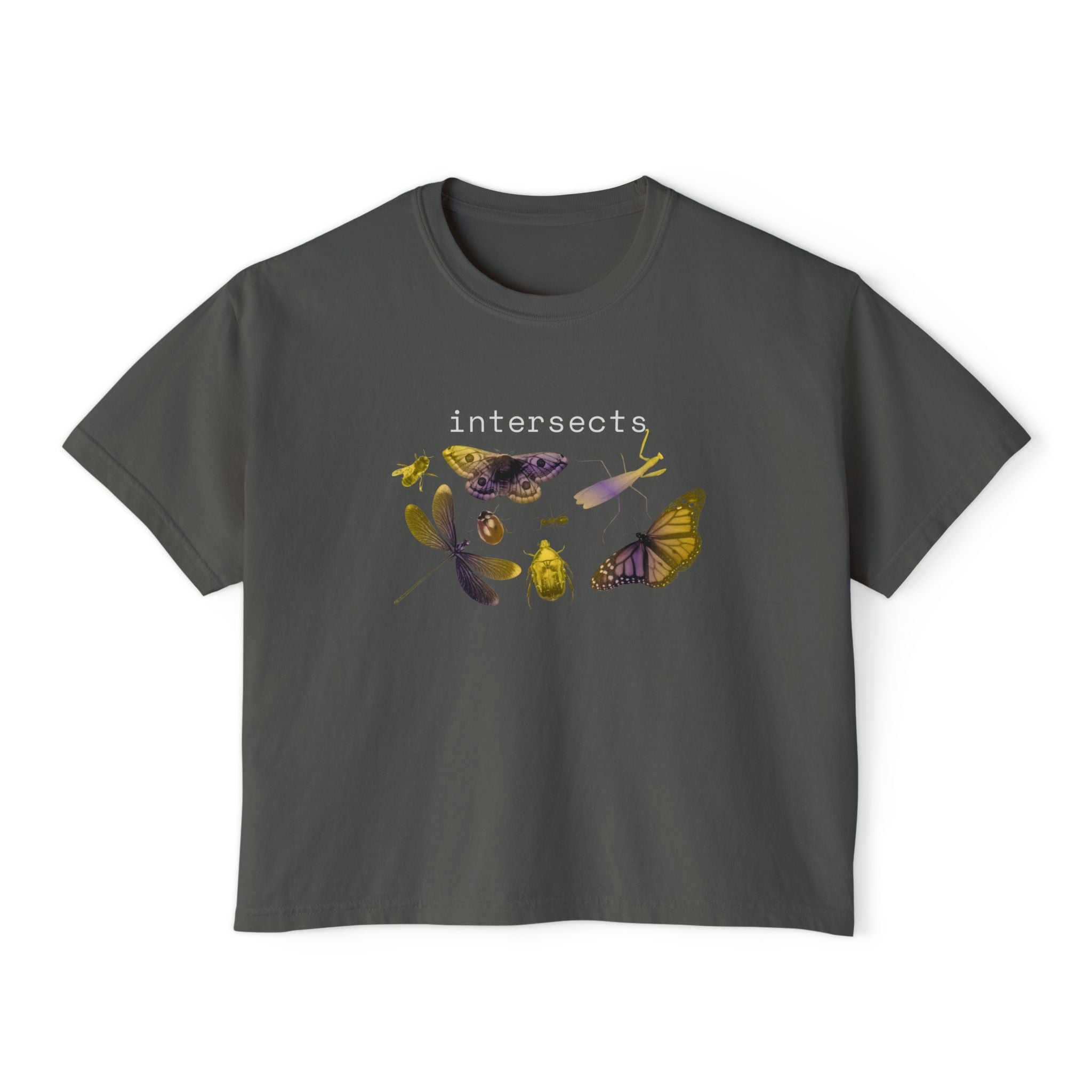 intersects
