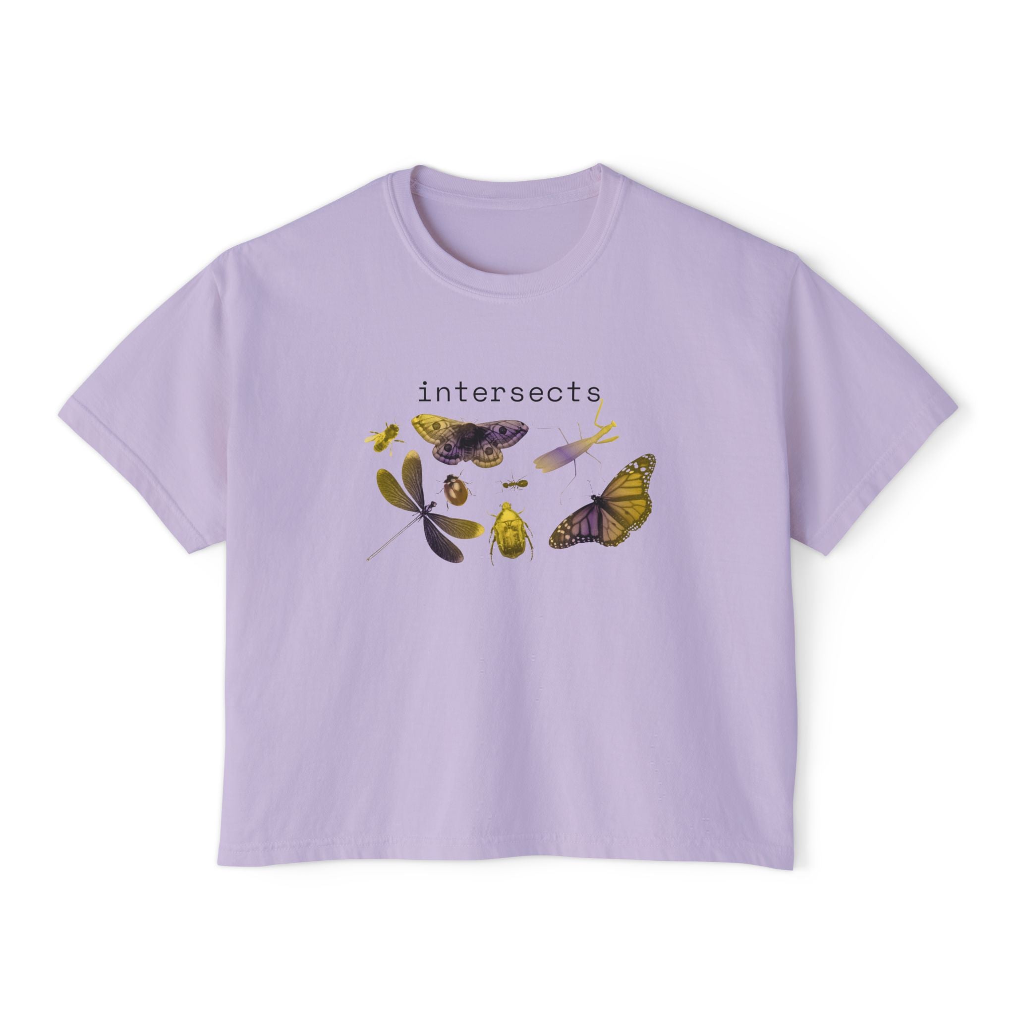intersects