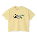 aroplane