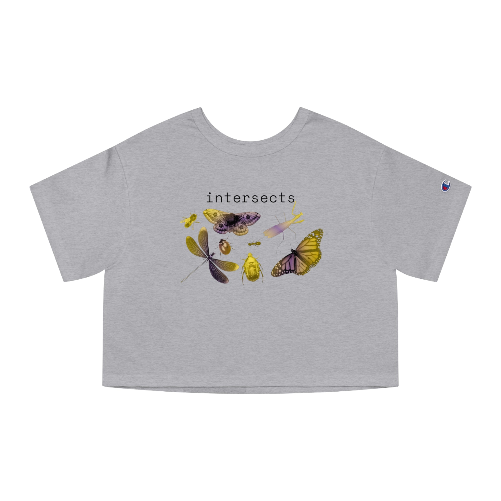 intersects