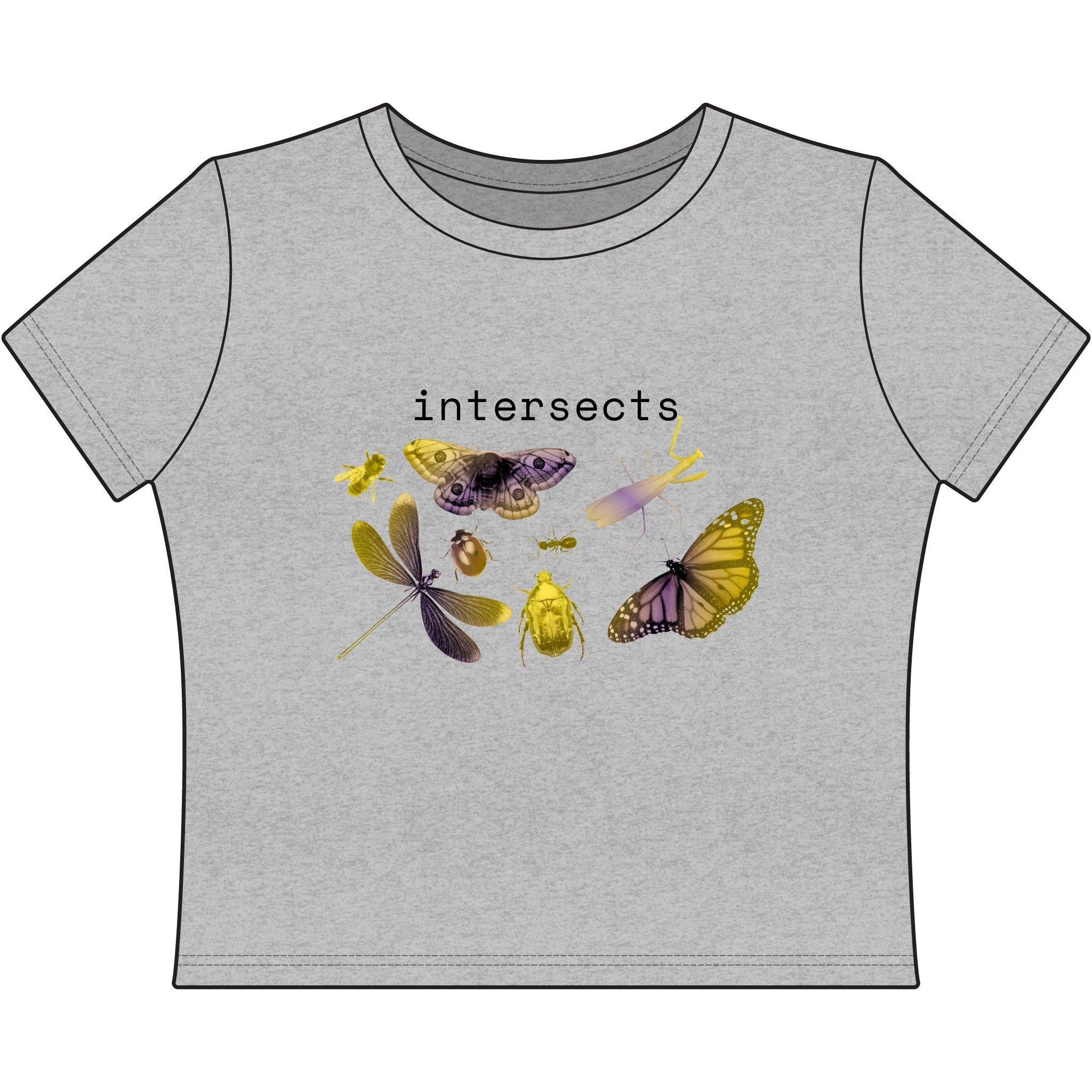 intersects