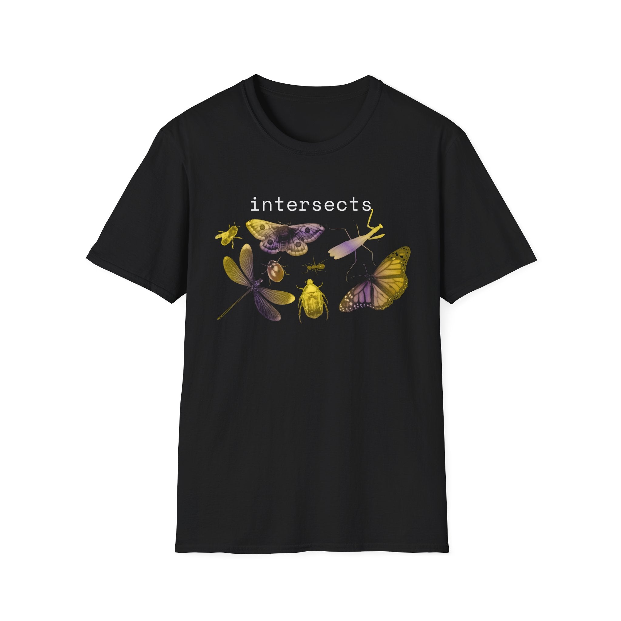 intersects