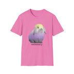 nonbunnary