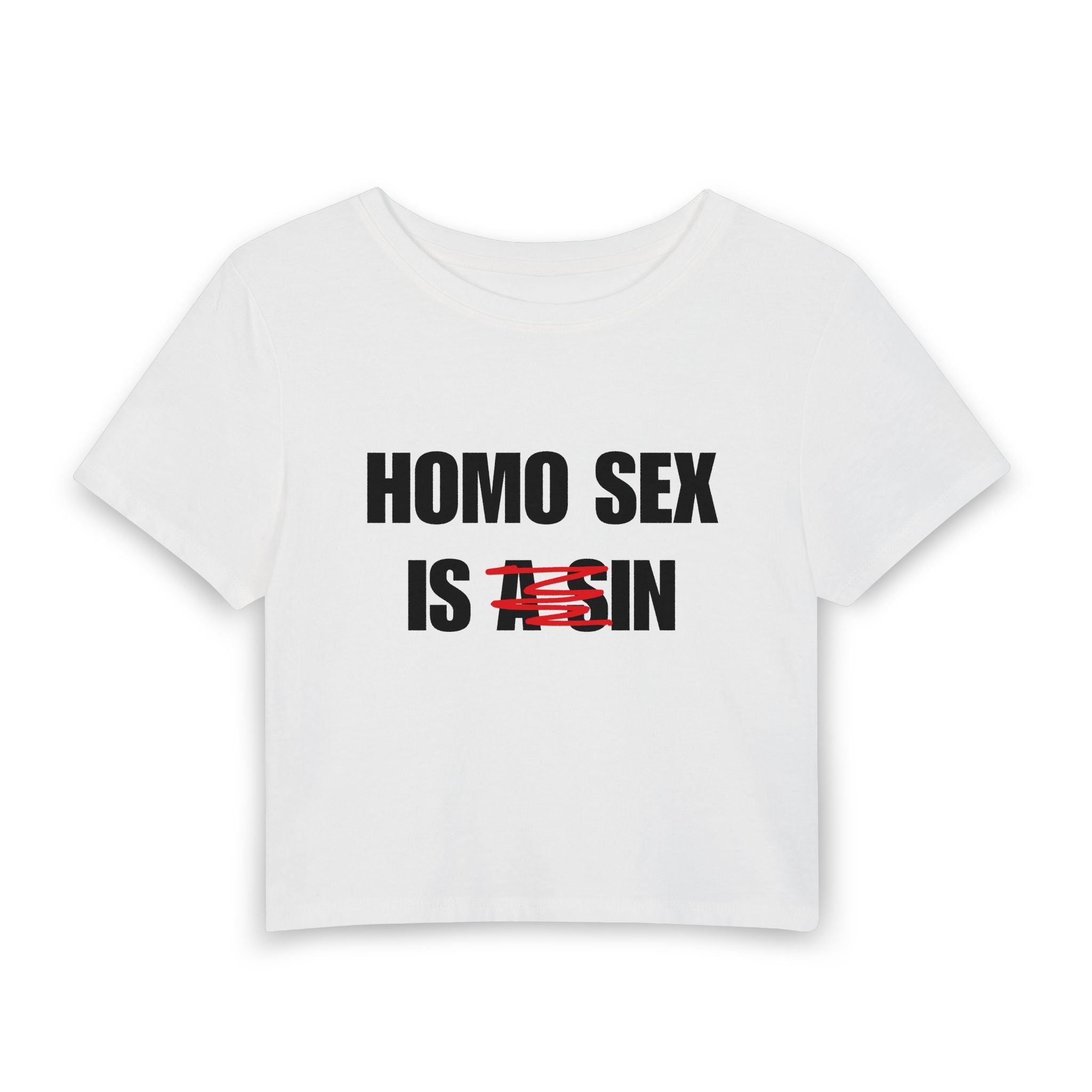 HOMO SEX IS IN
