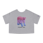 (bi)polar bear