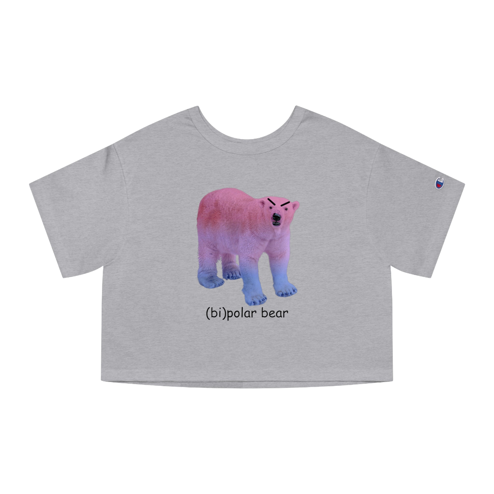 (bi)polar bear