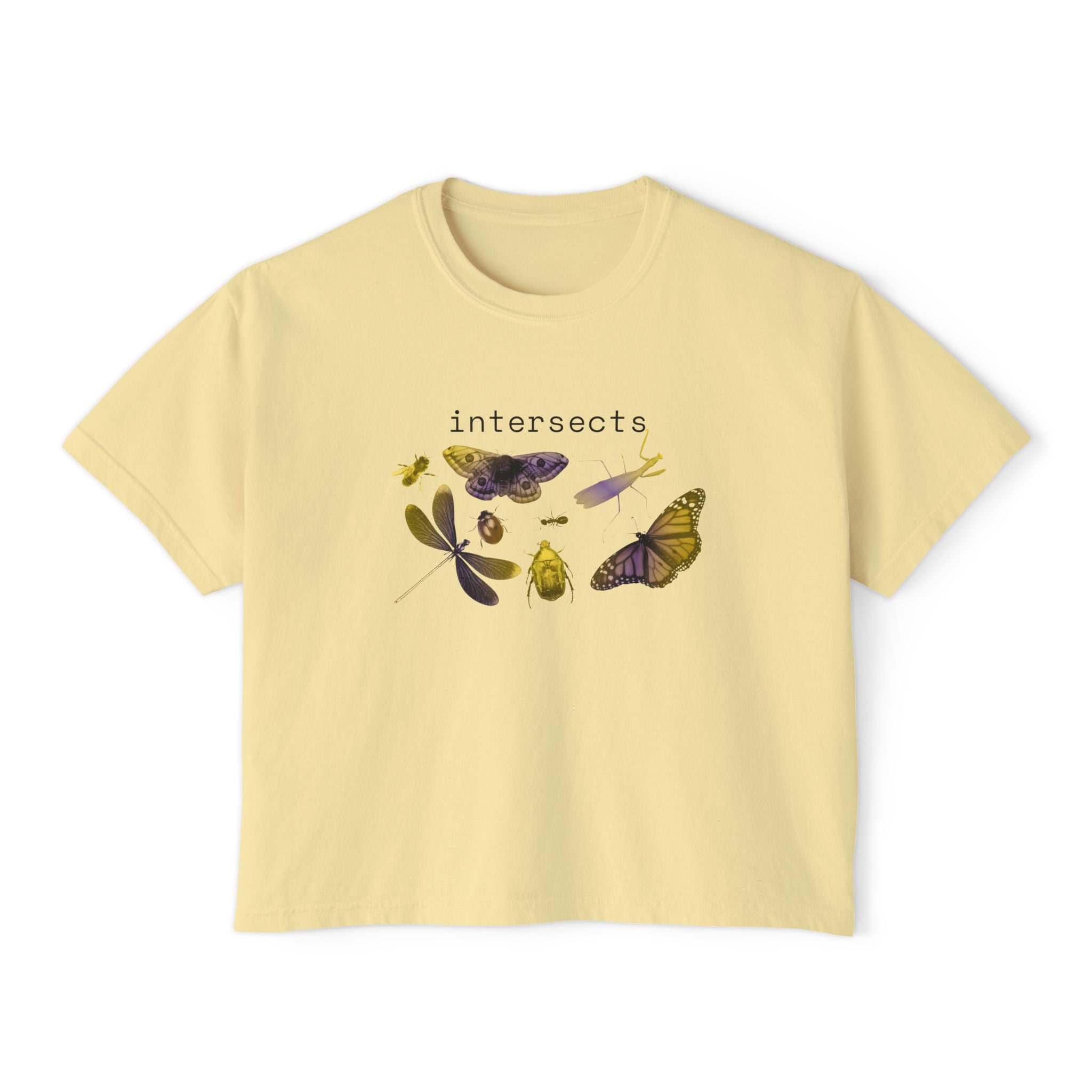 intersects
