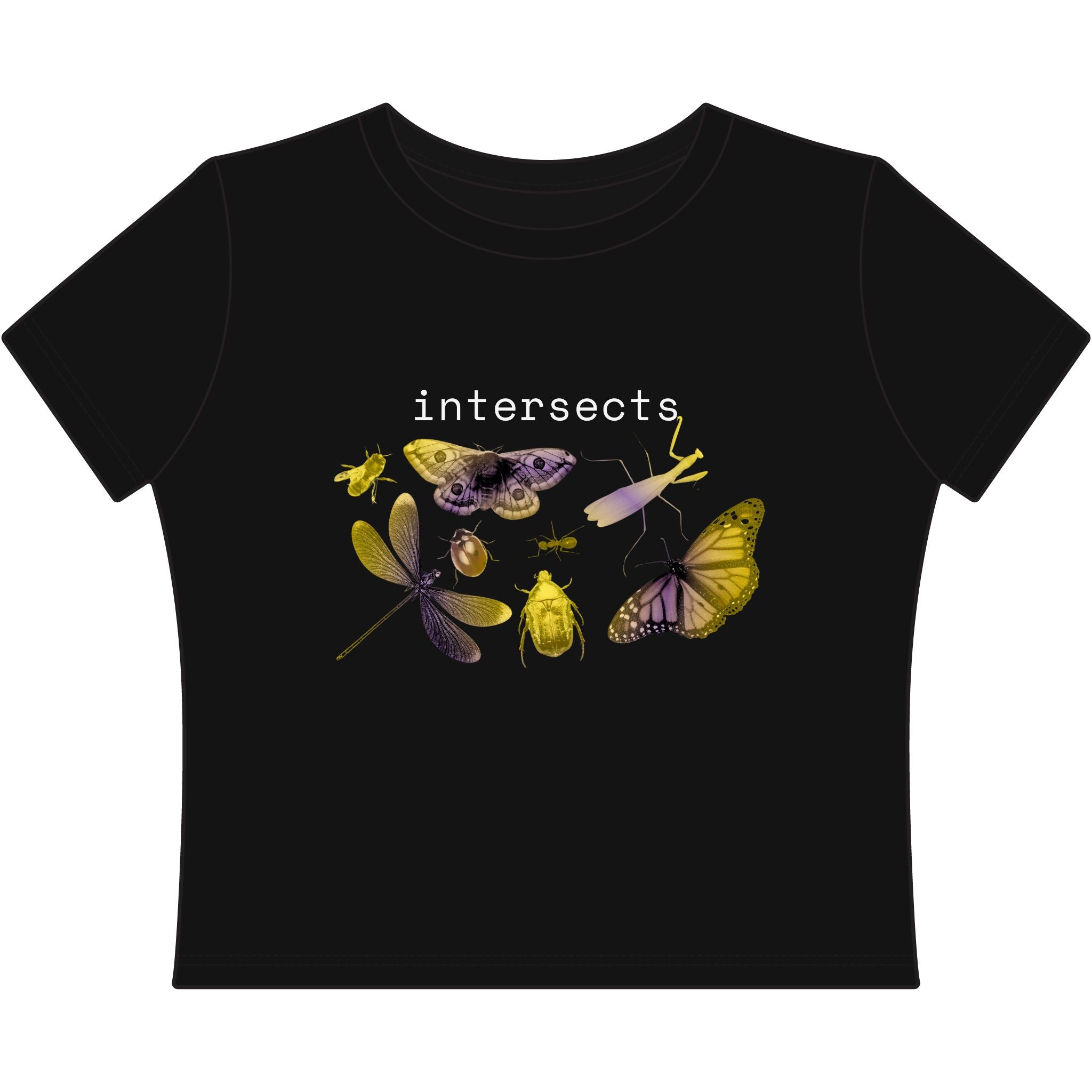 intersects