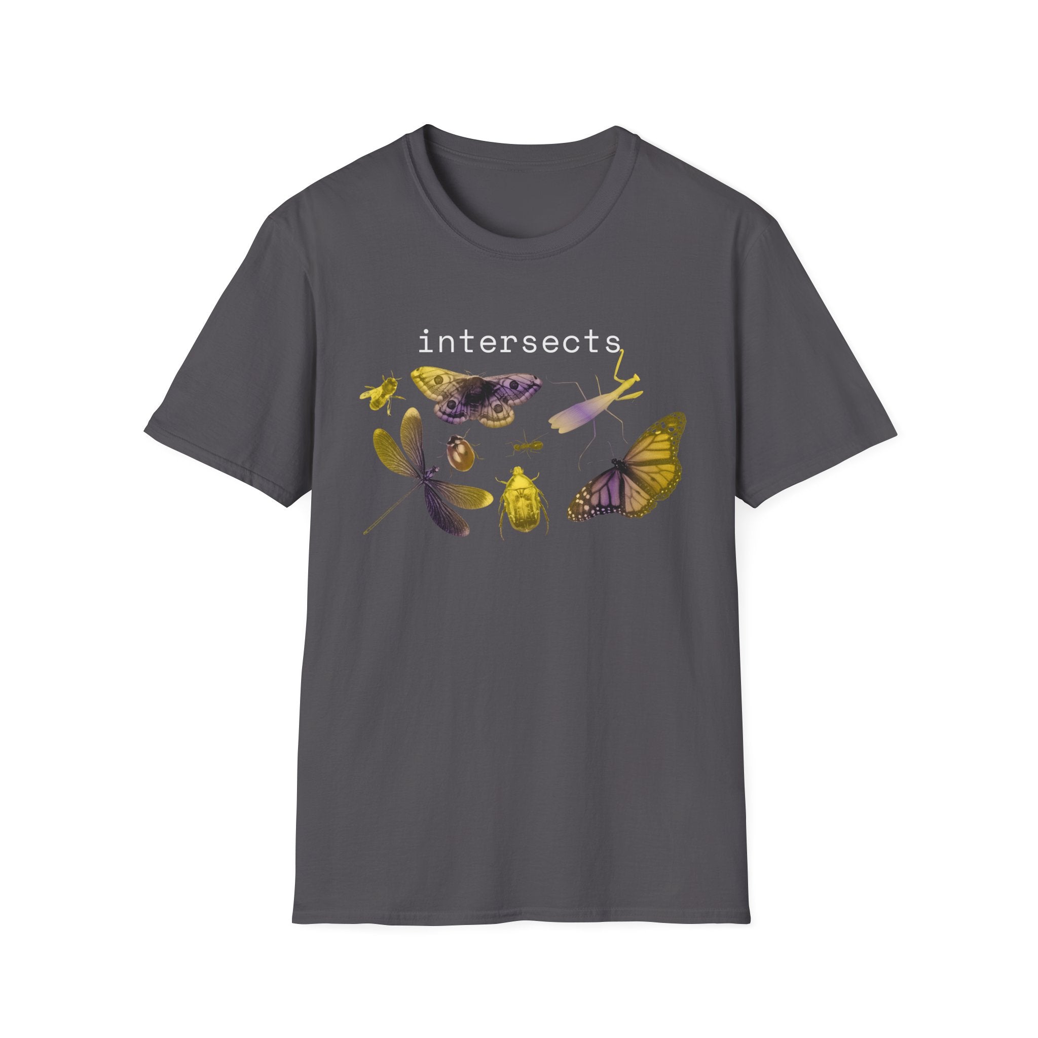 intersects