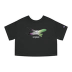aroplane