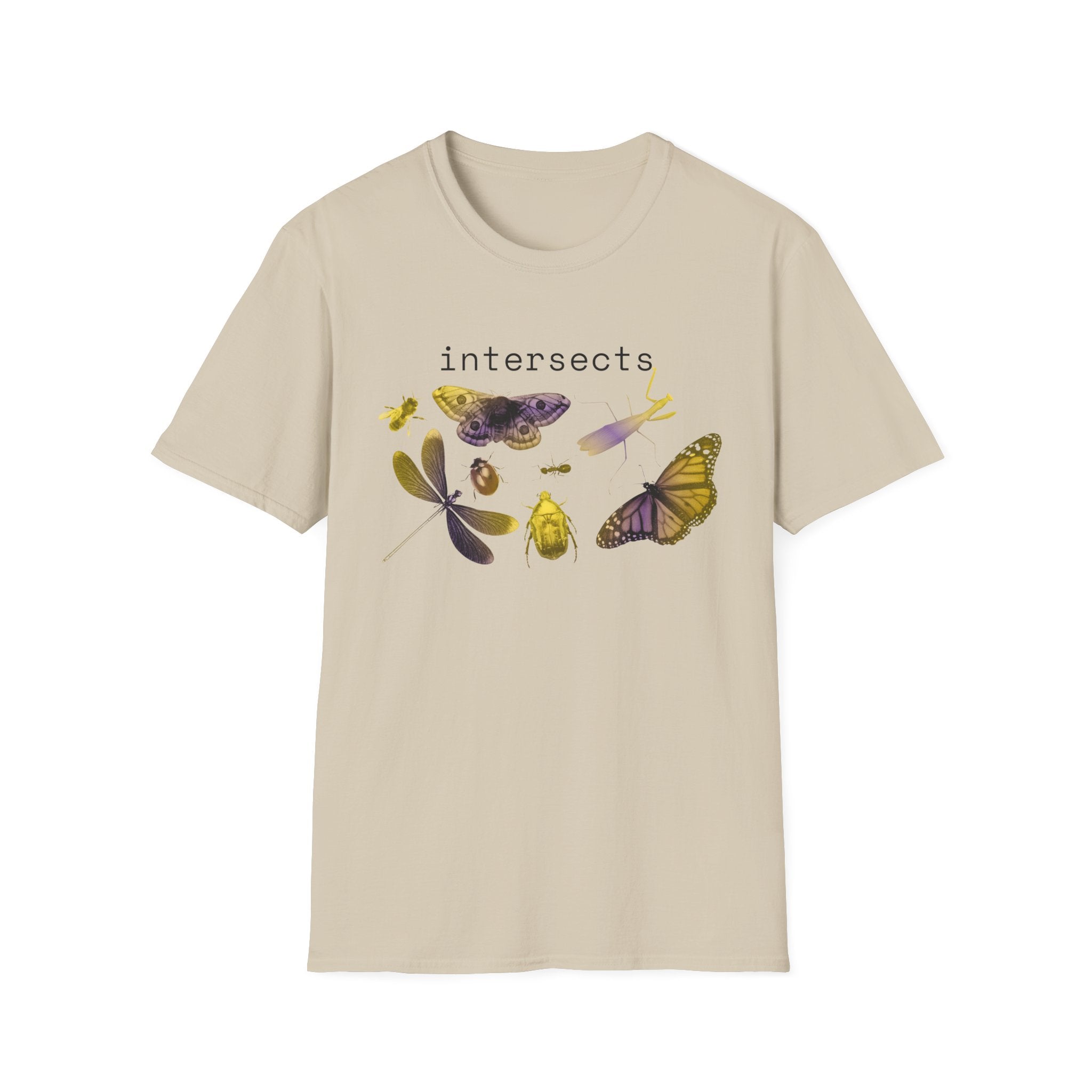 intersects