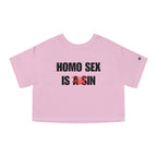 HOMO SEX IS IN