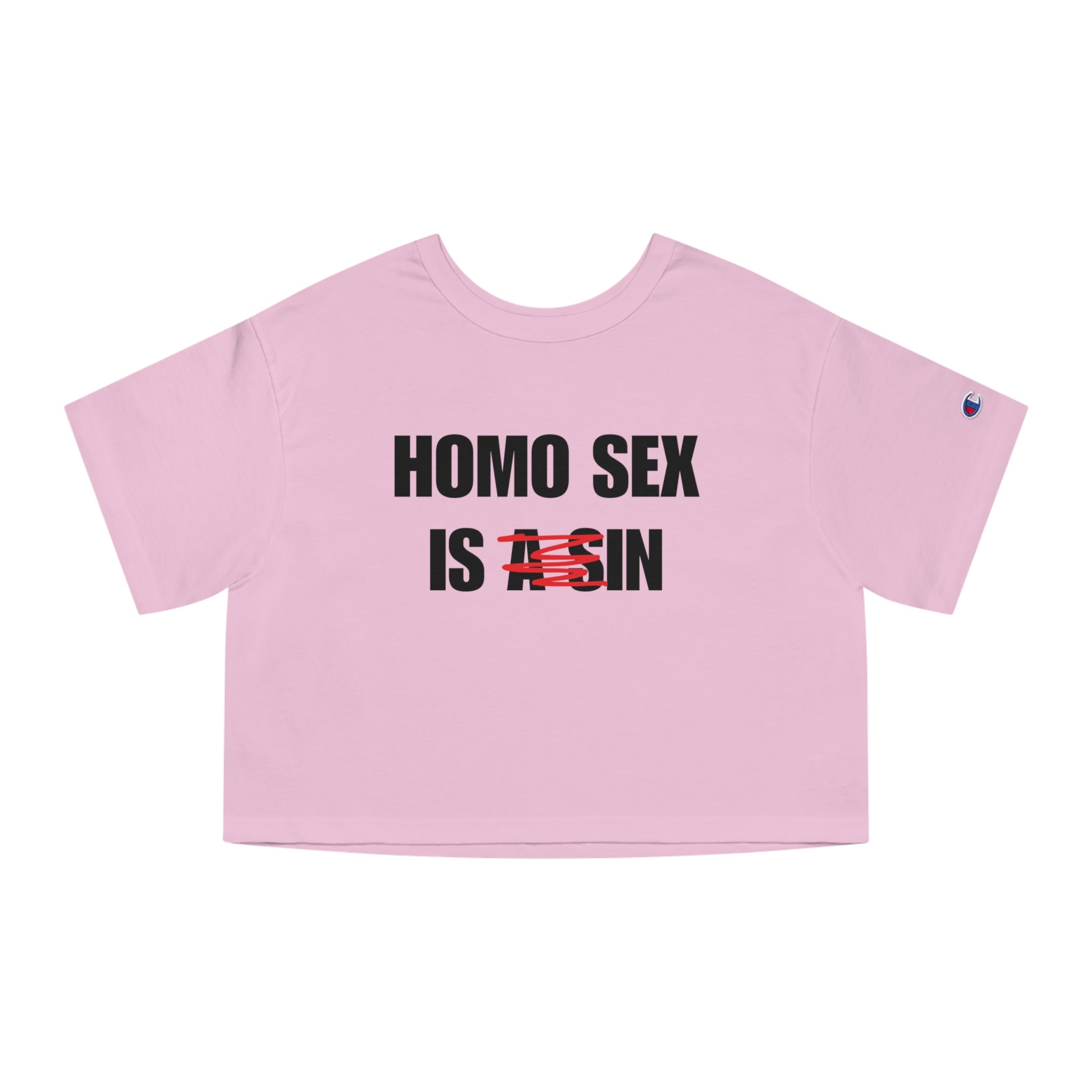 HOMO SEX IS IN