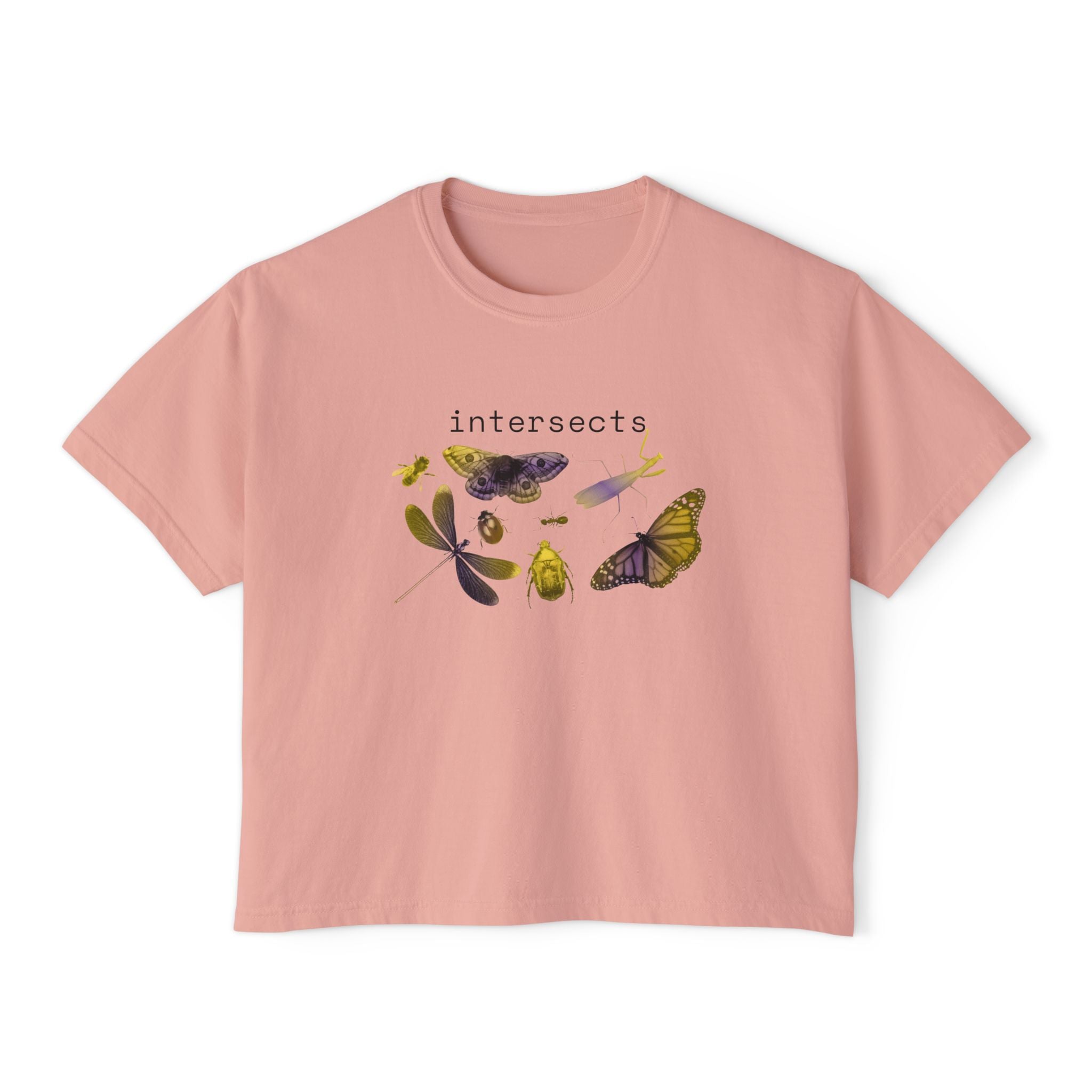 intersects