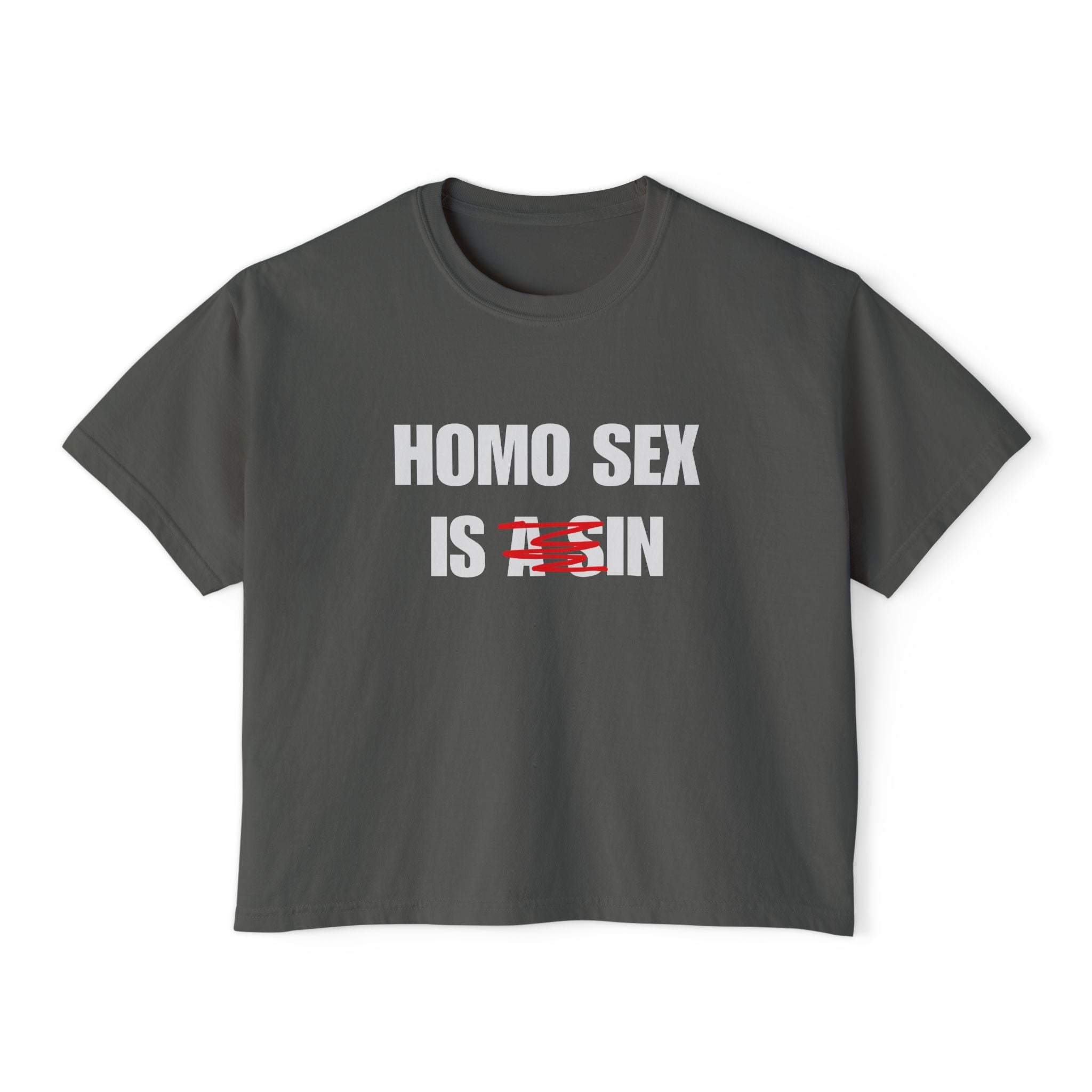 HOMO SEX IS IN