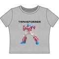 TRANSFORMER