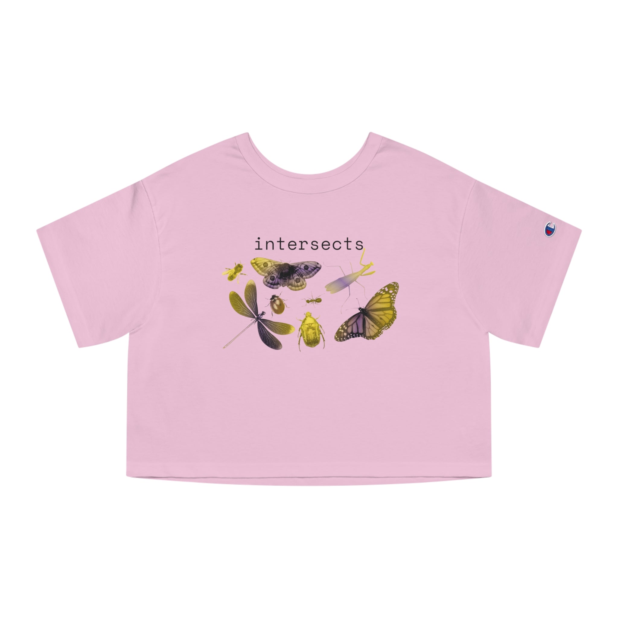 intersects