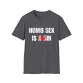 HOMO SEX IS IN