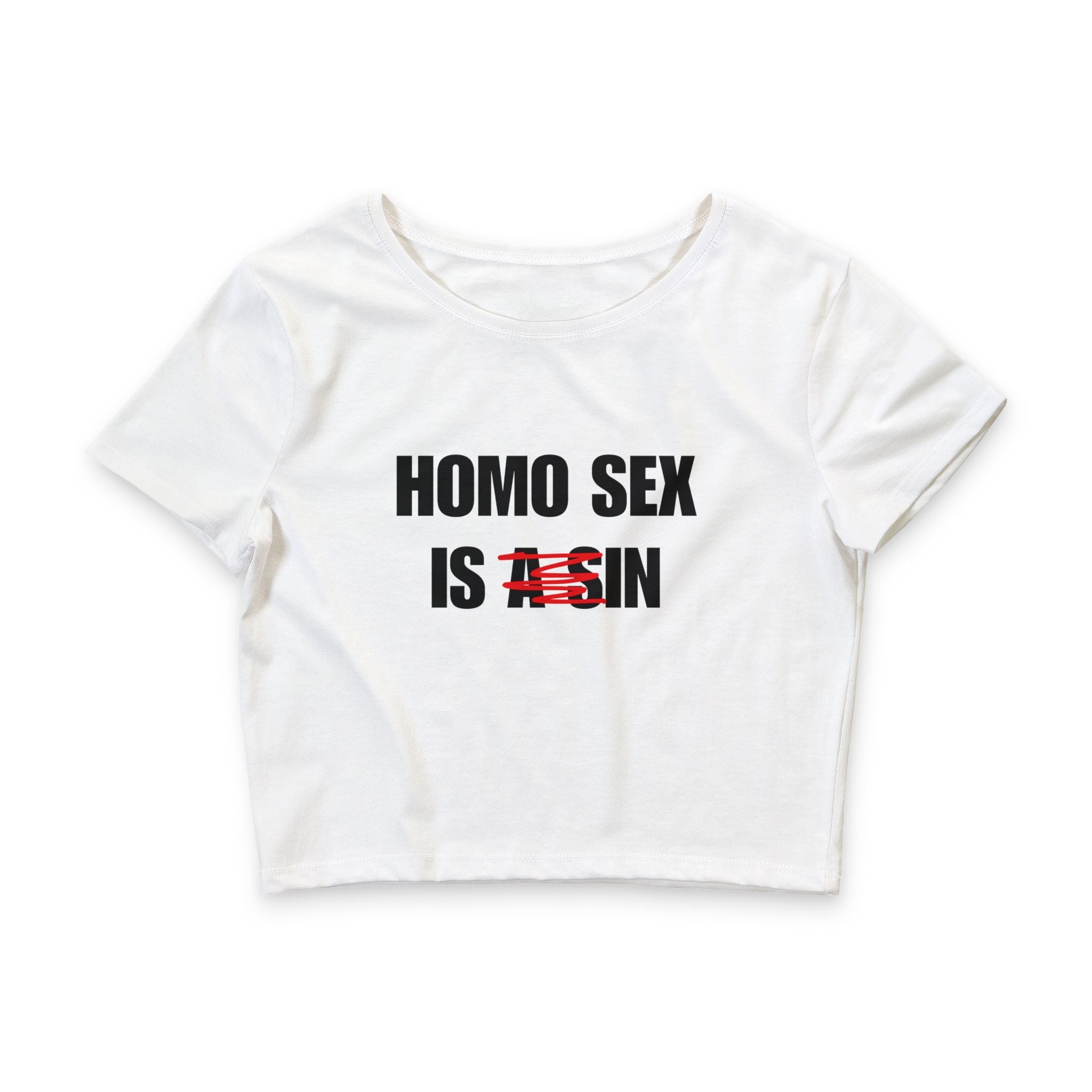 HOMO SEX IS IN