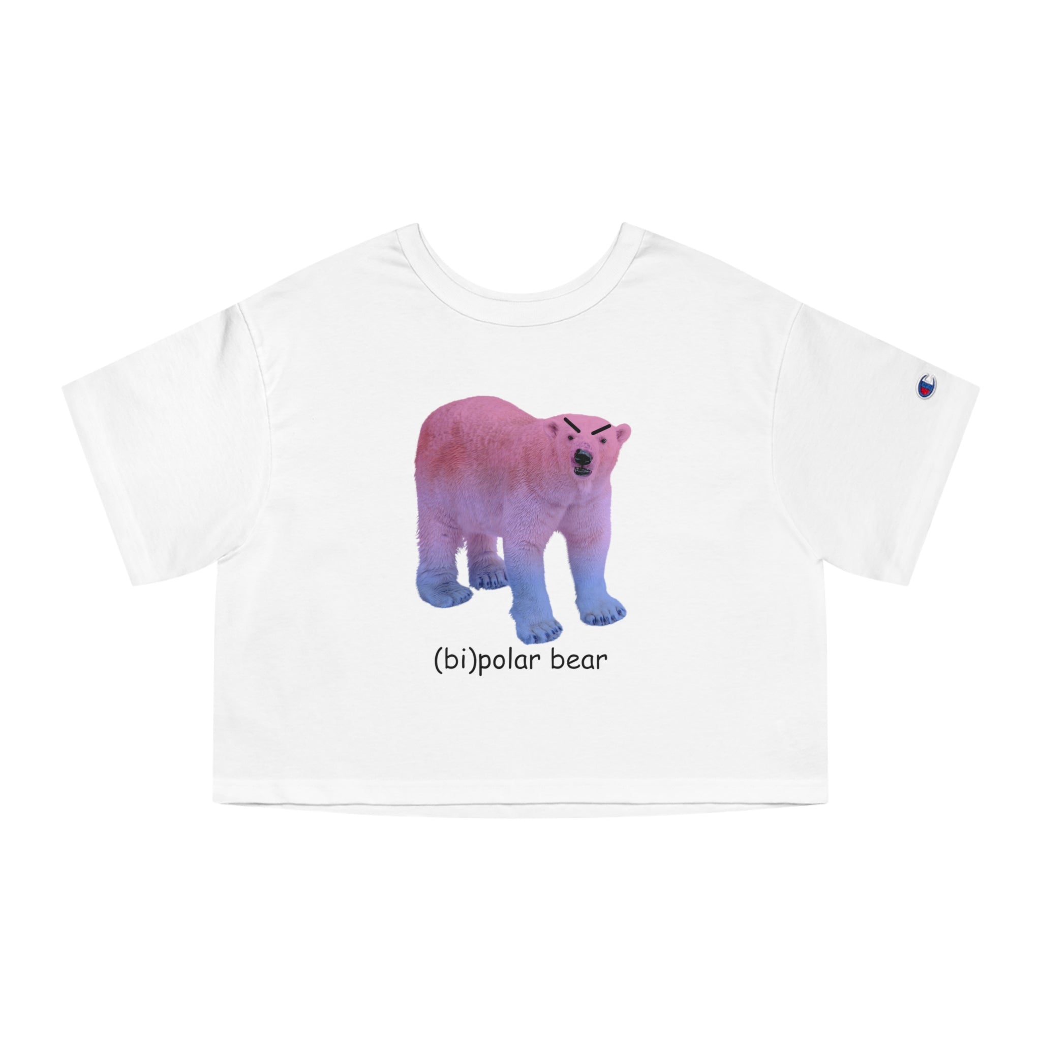 (bi)polar bear