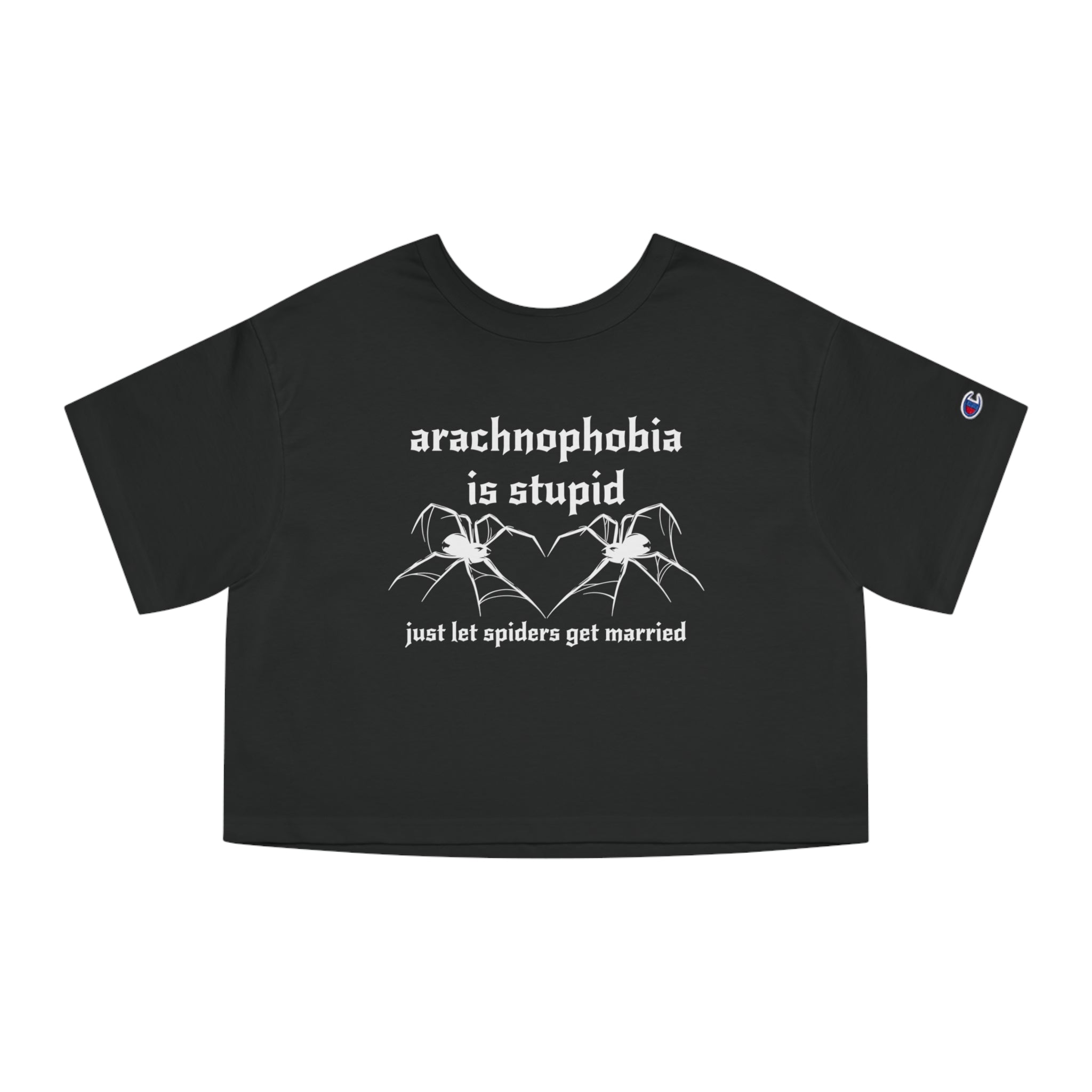 arachnophobia is so stupid just let spiders get married