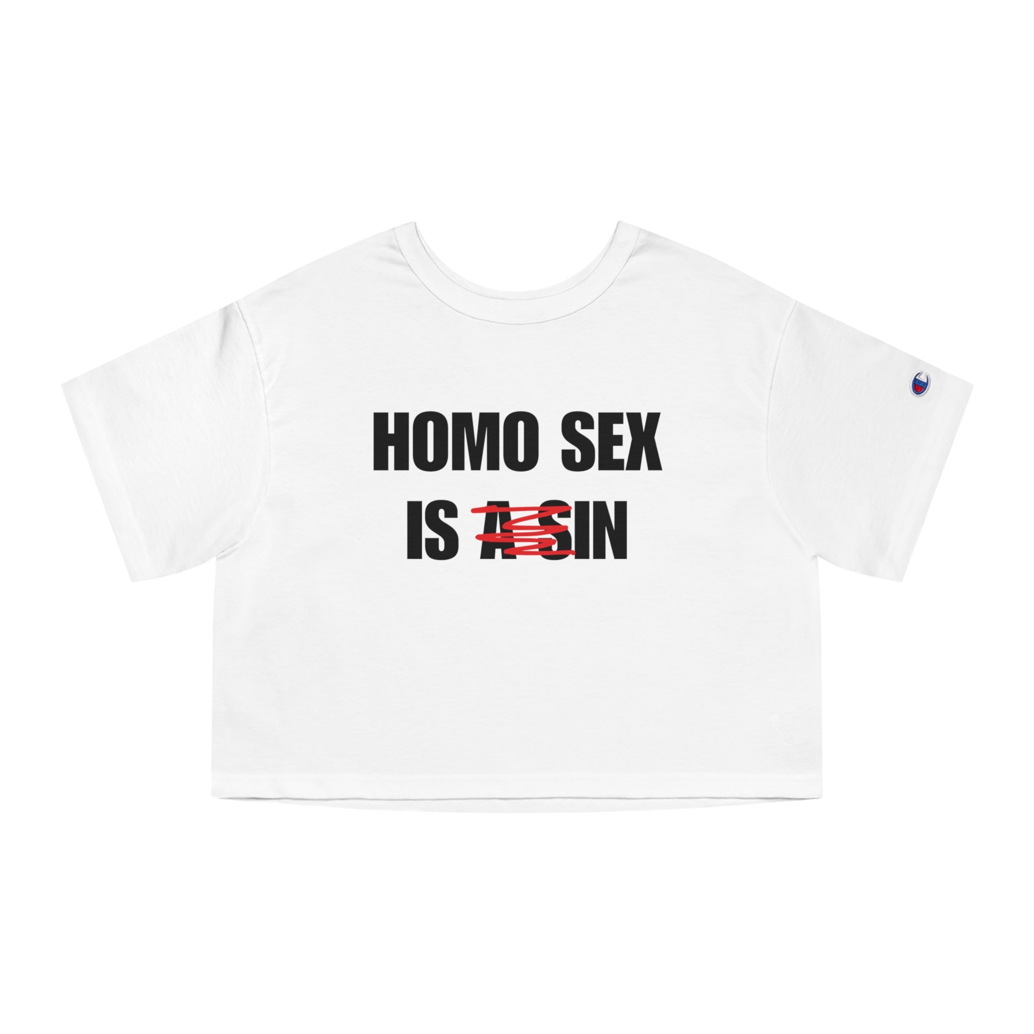 HOMO SEX IS IN
