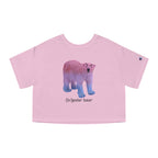 (bi)polar bear