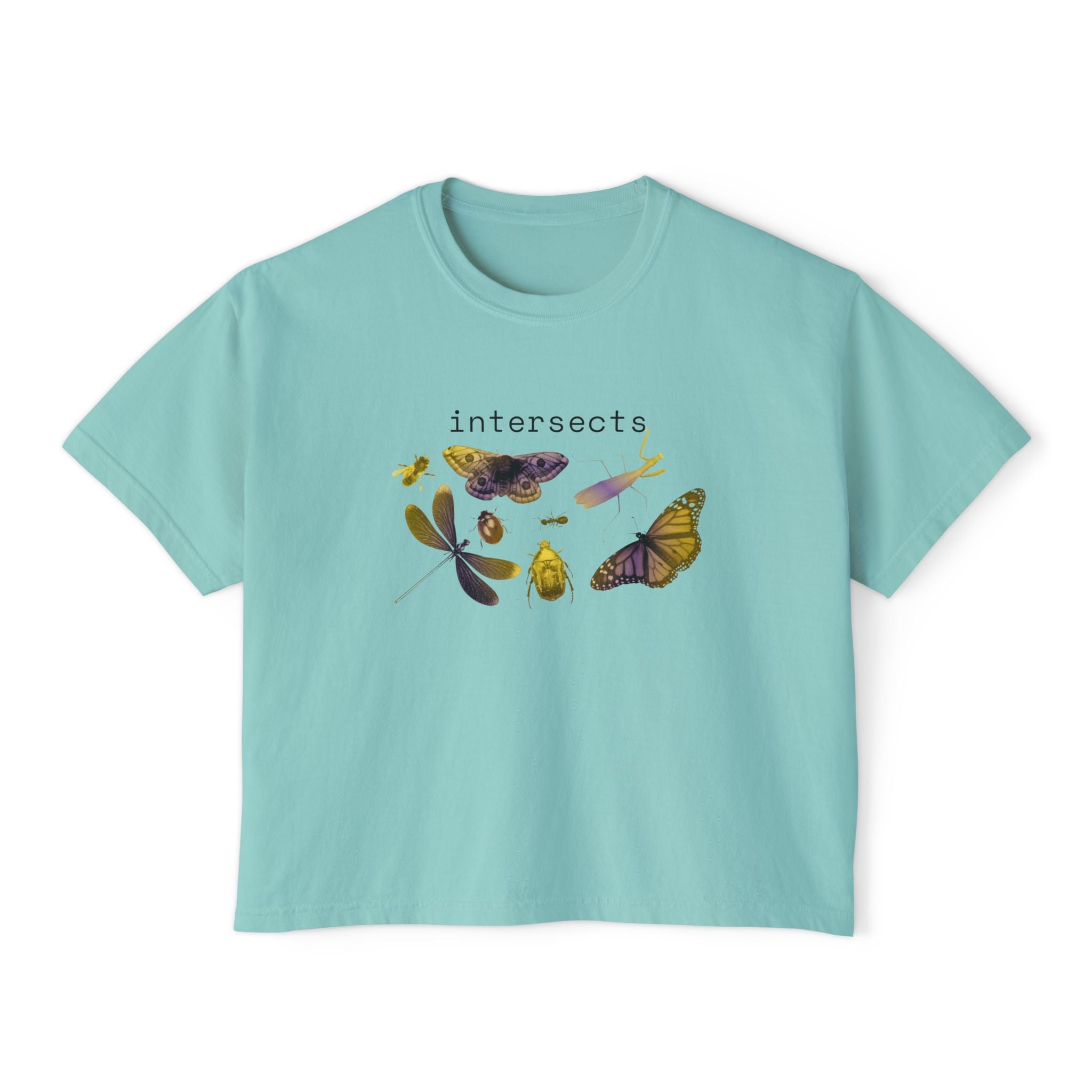 intersects