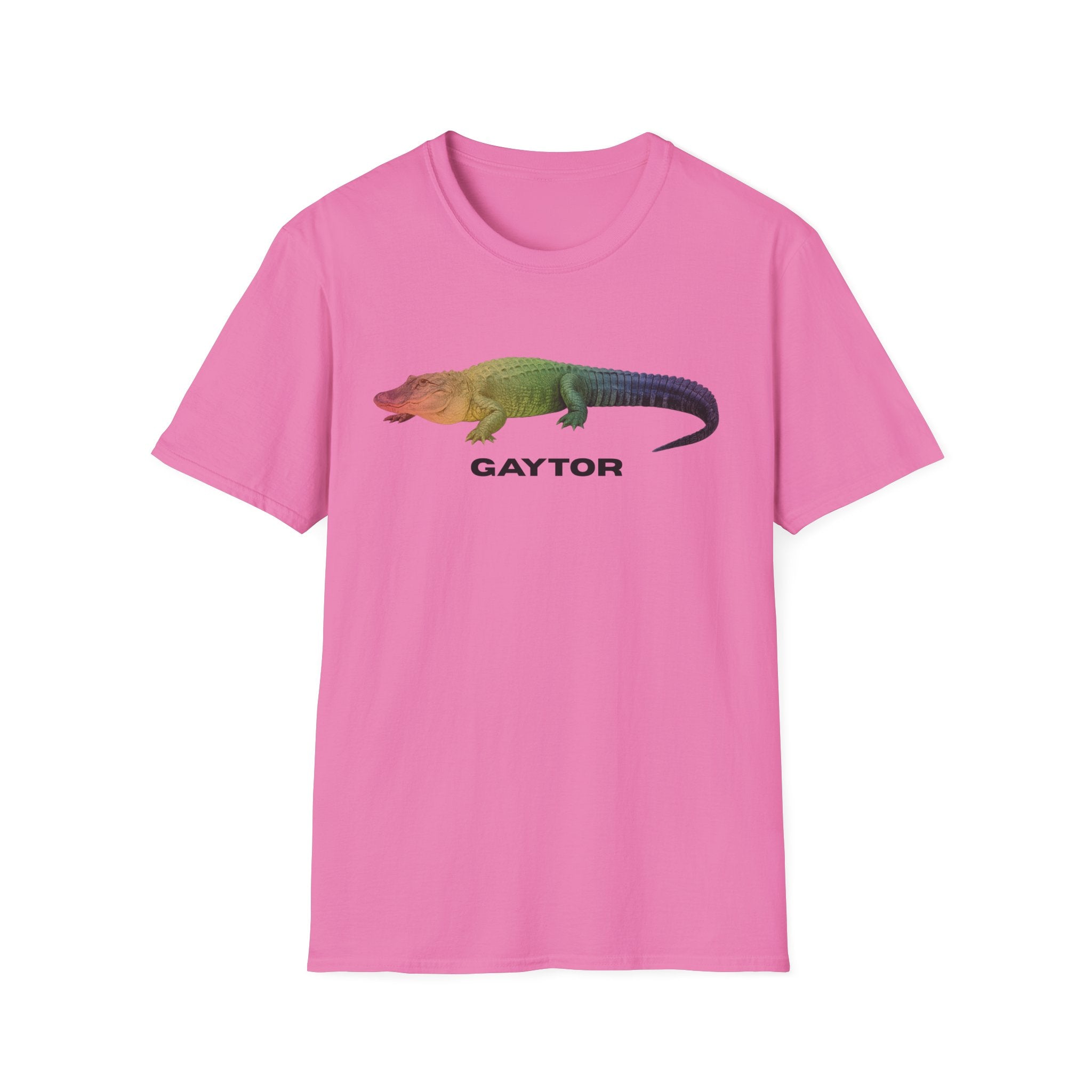 GAYTOR