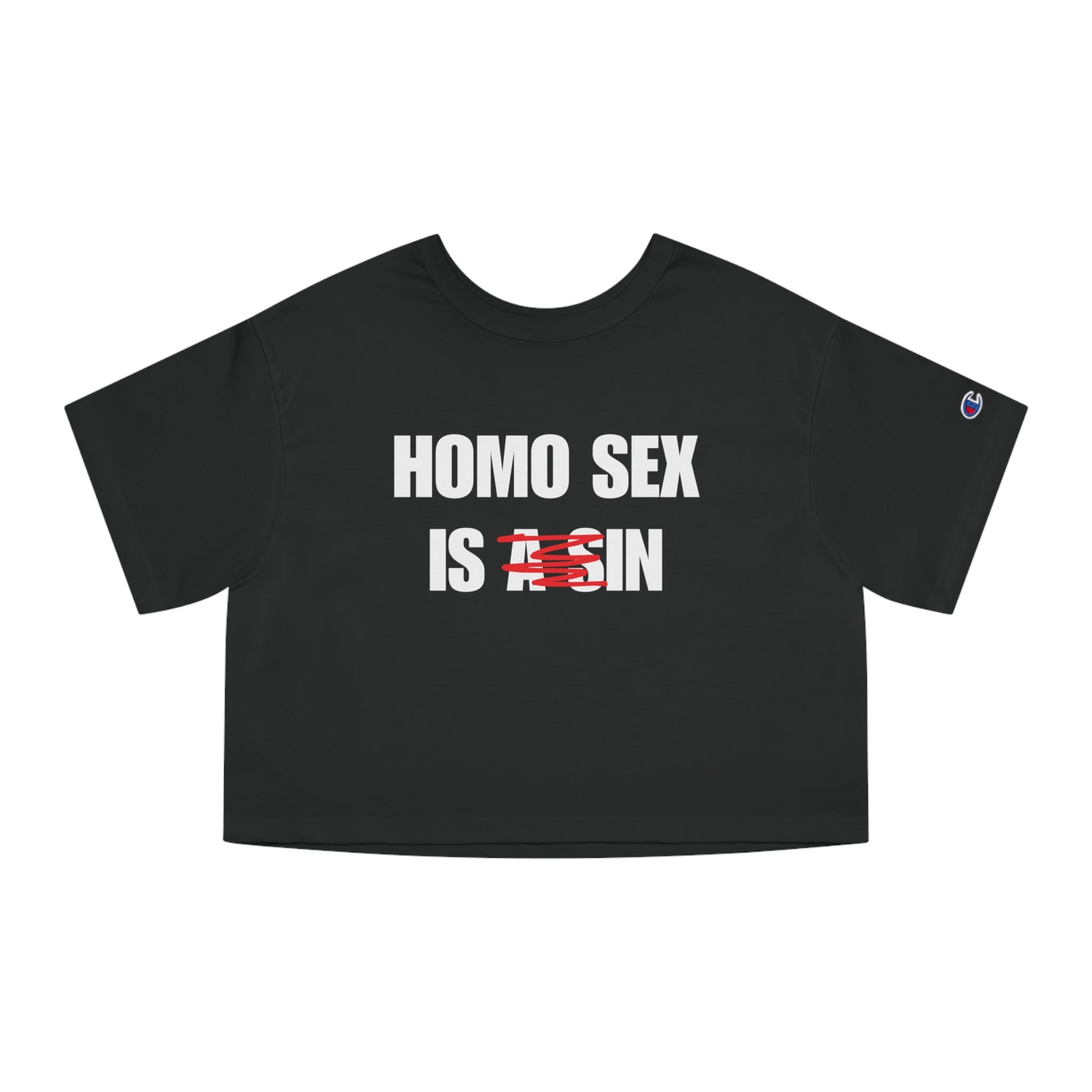 HOMO SEX IS IN