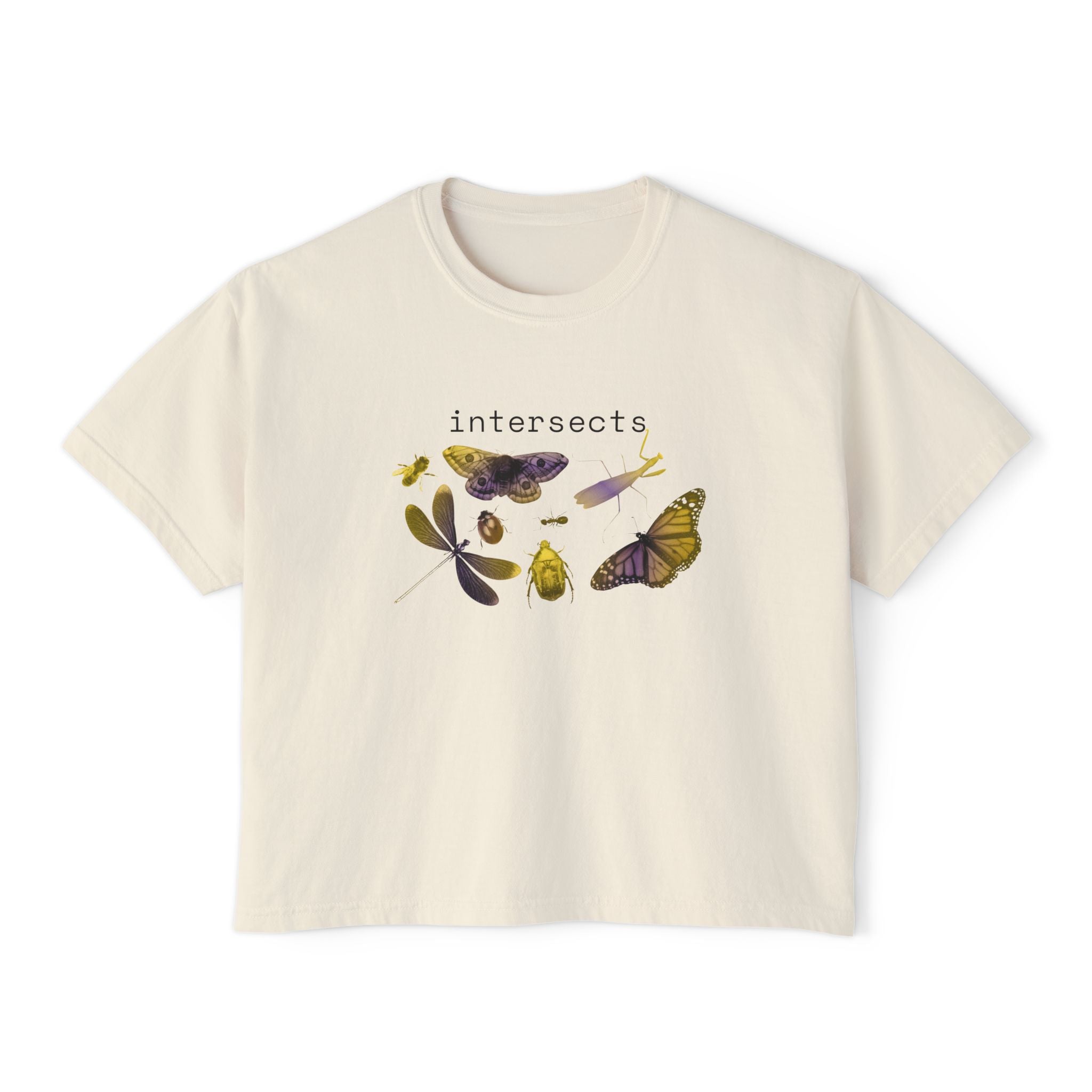 intersects