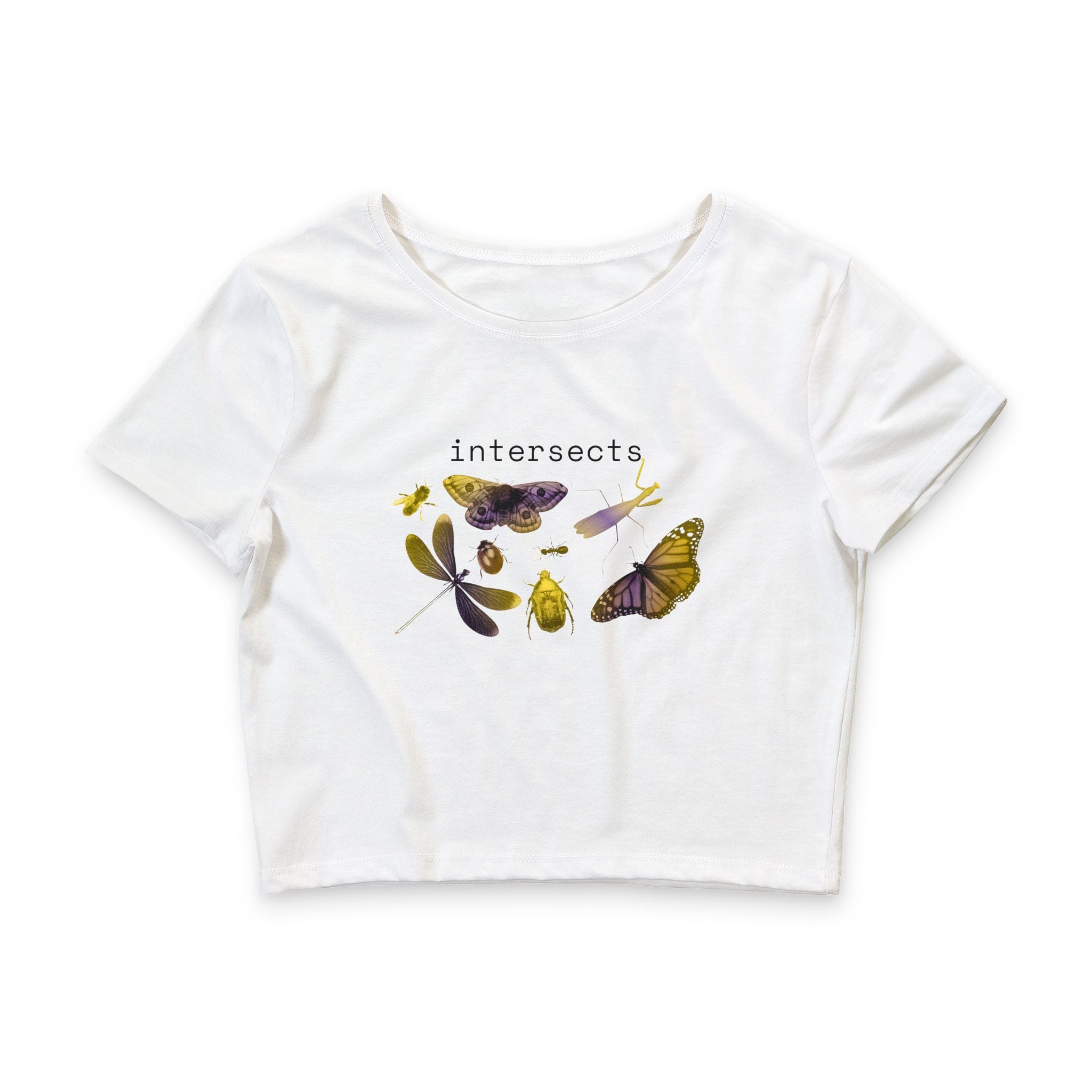 intersects