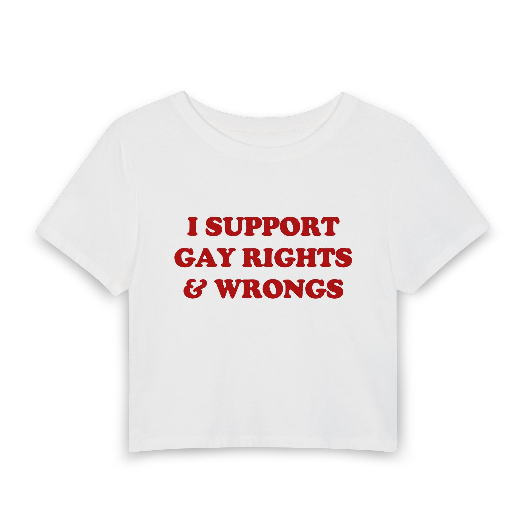 I SUPPORT GAY RIGHTS & WRONGS