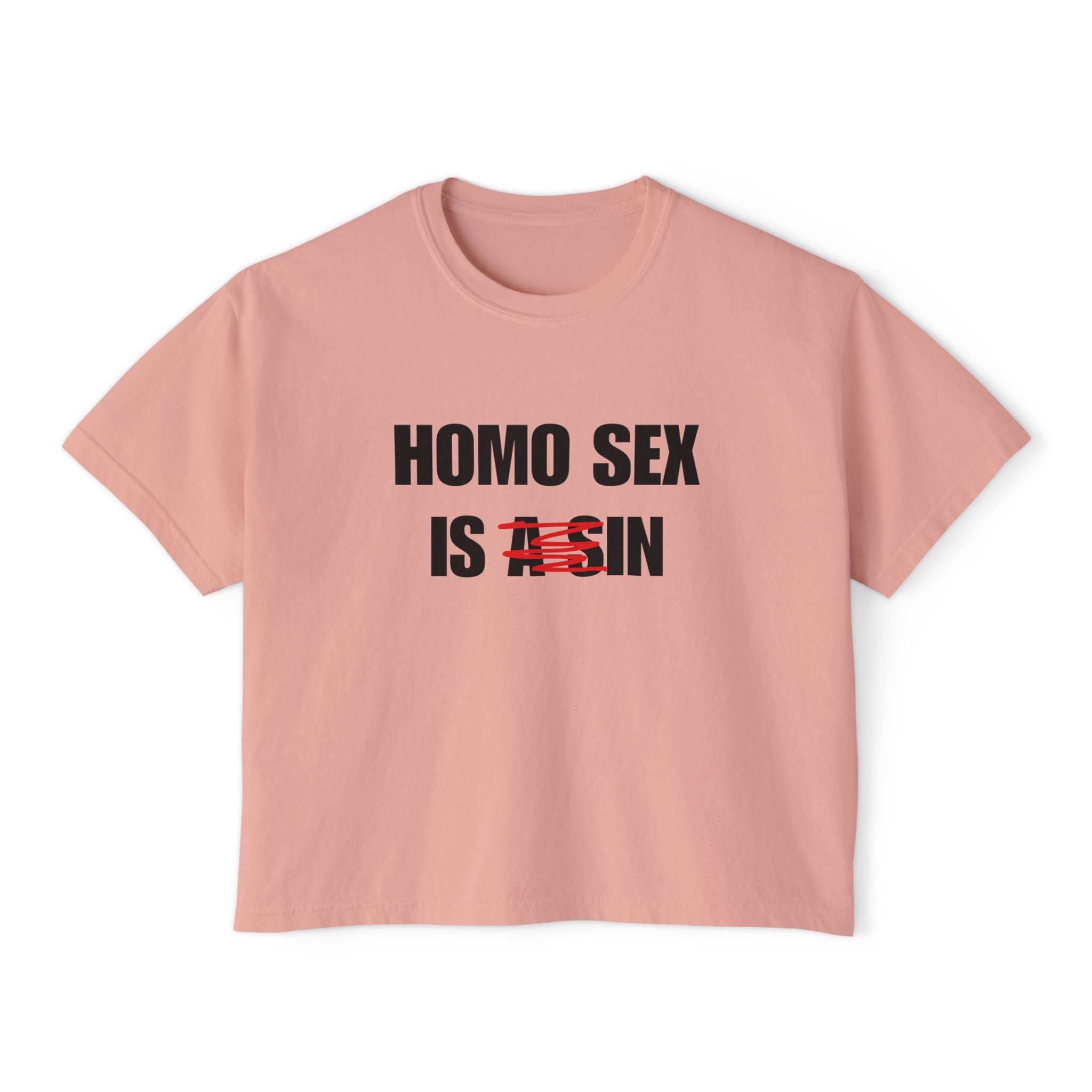 HOMO SEX IS IN