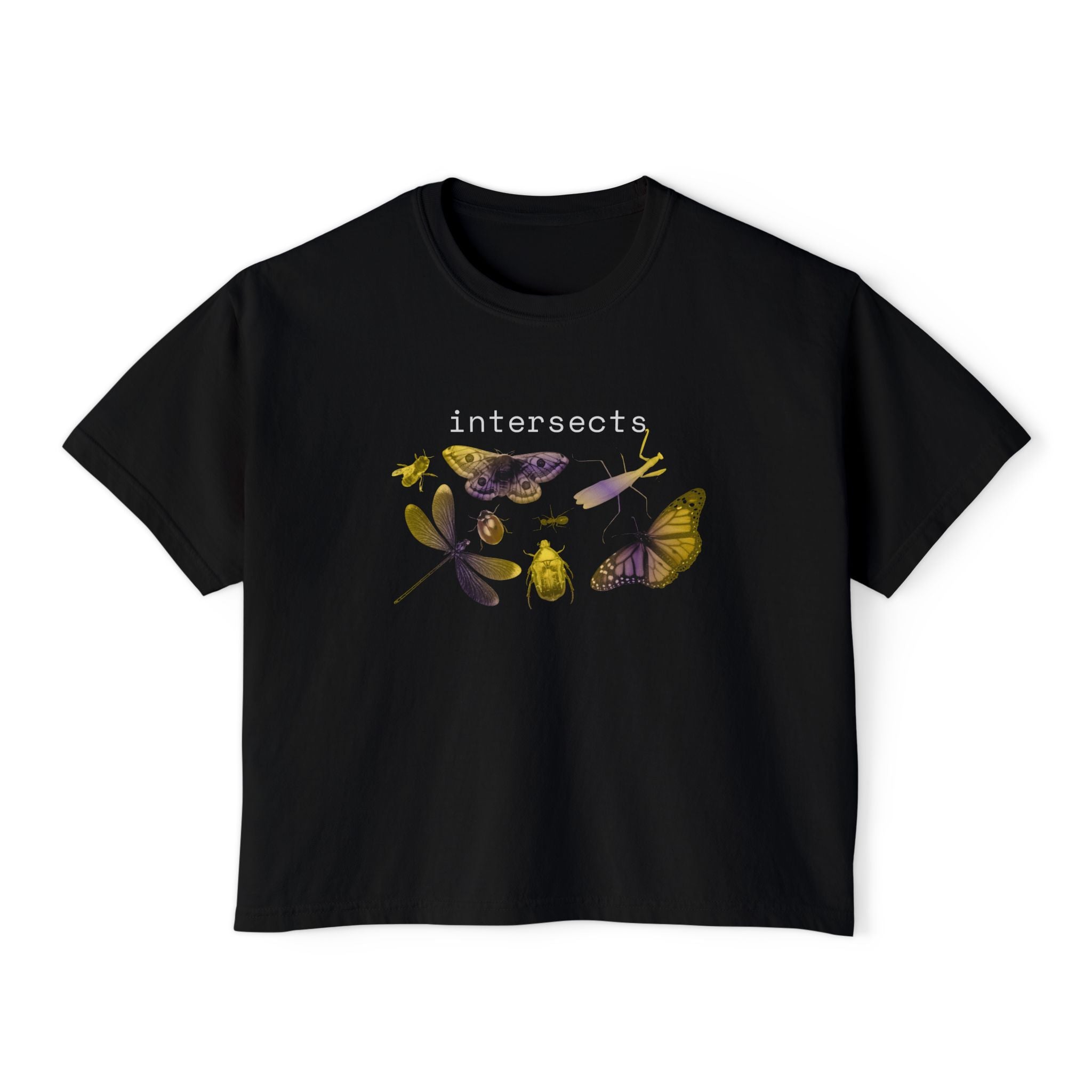 intersects