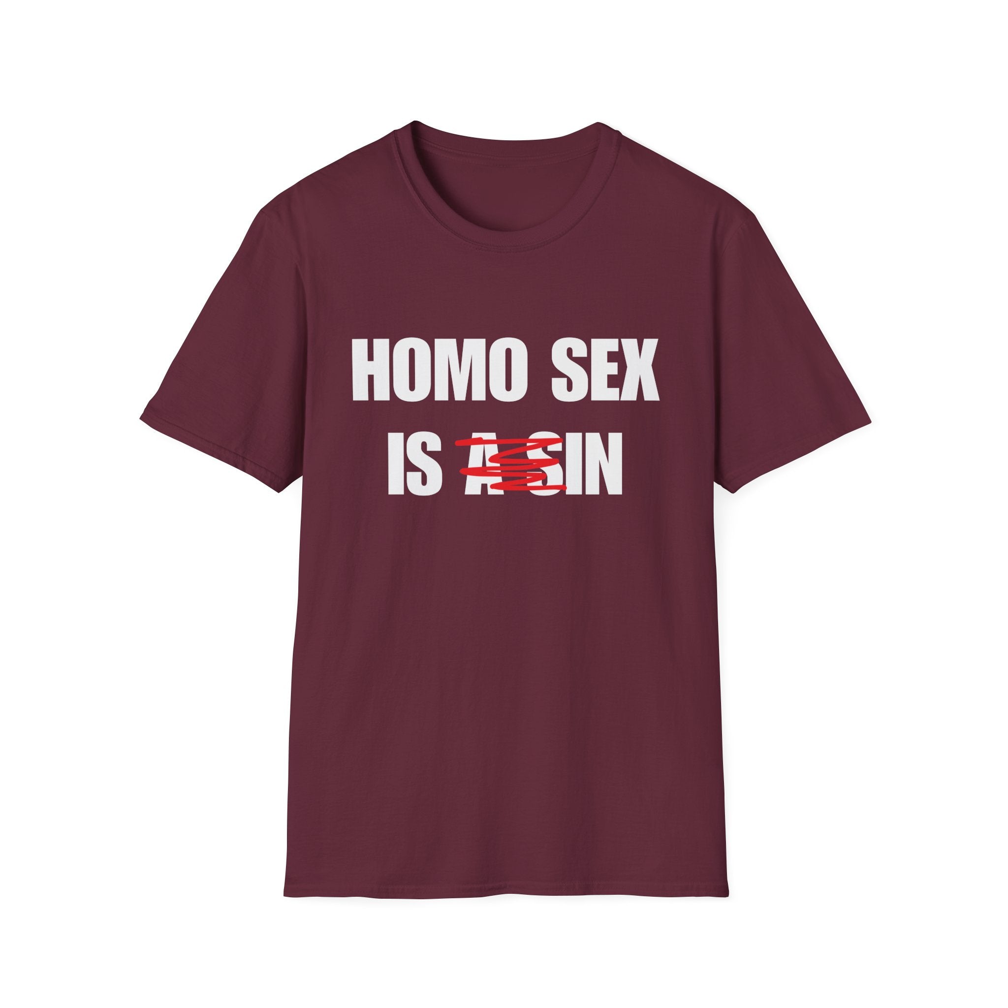HOMO SEX IS IN