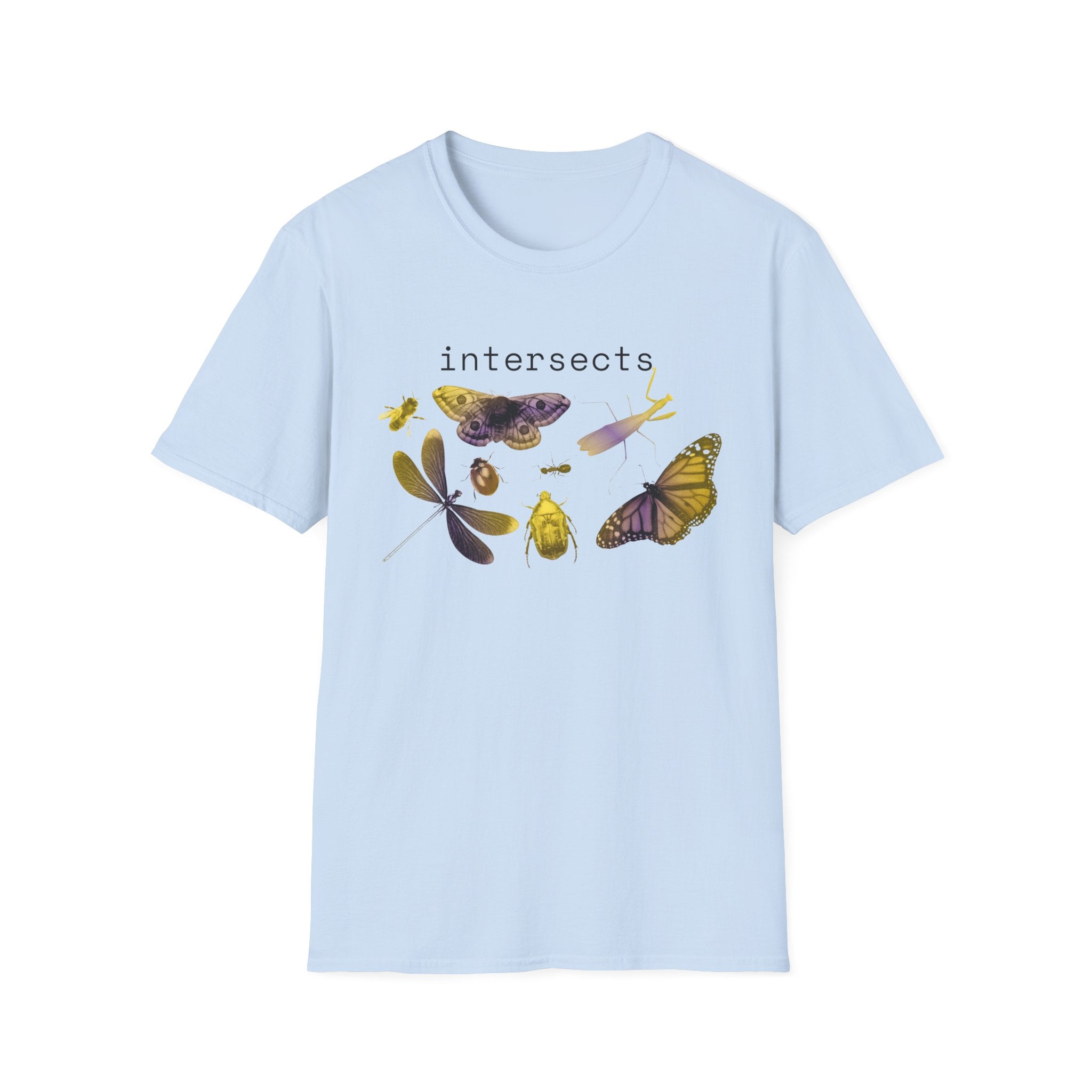 intersects