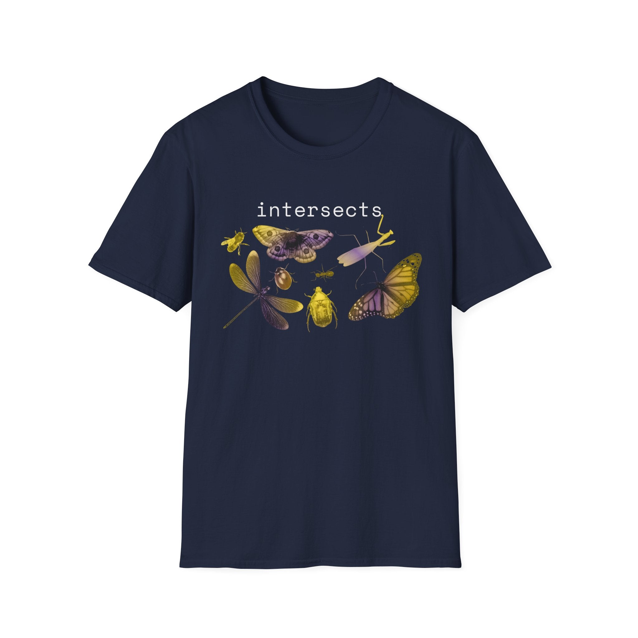intersects