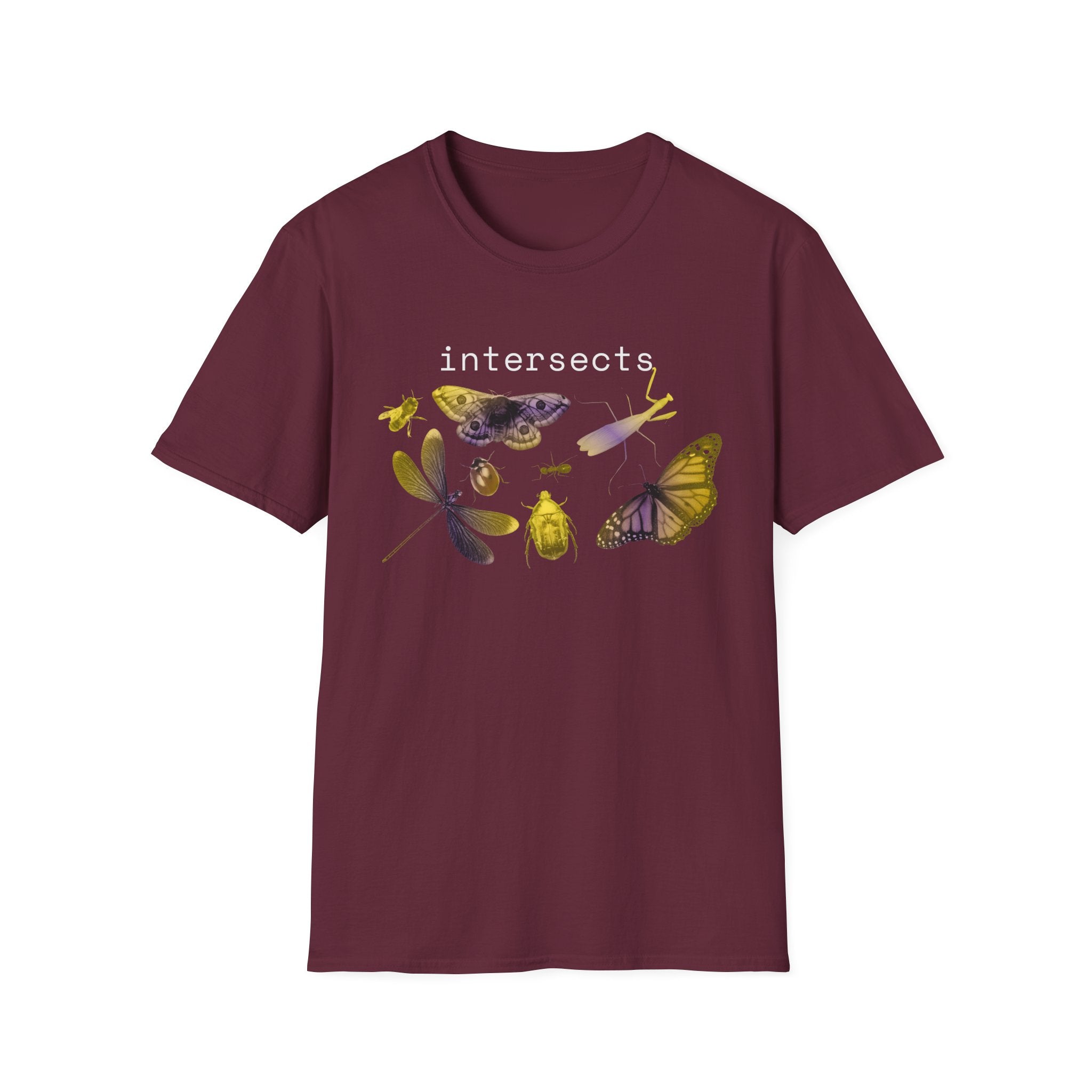 intersects