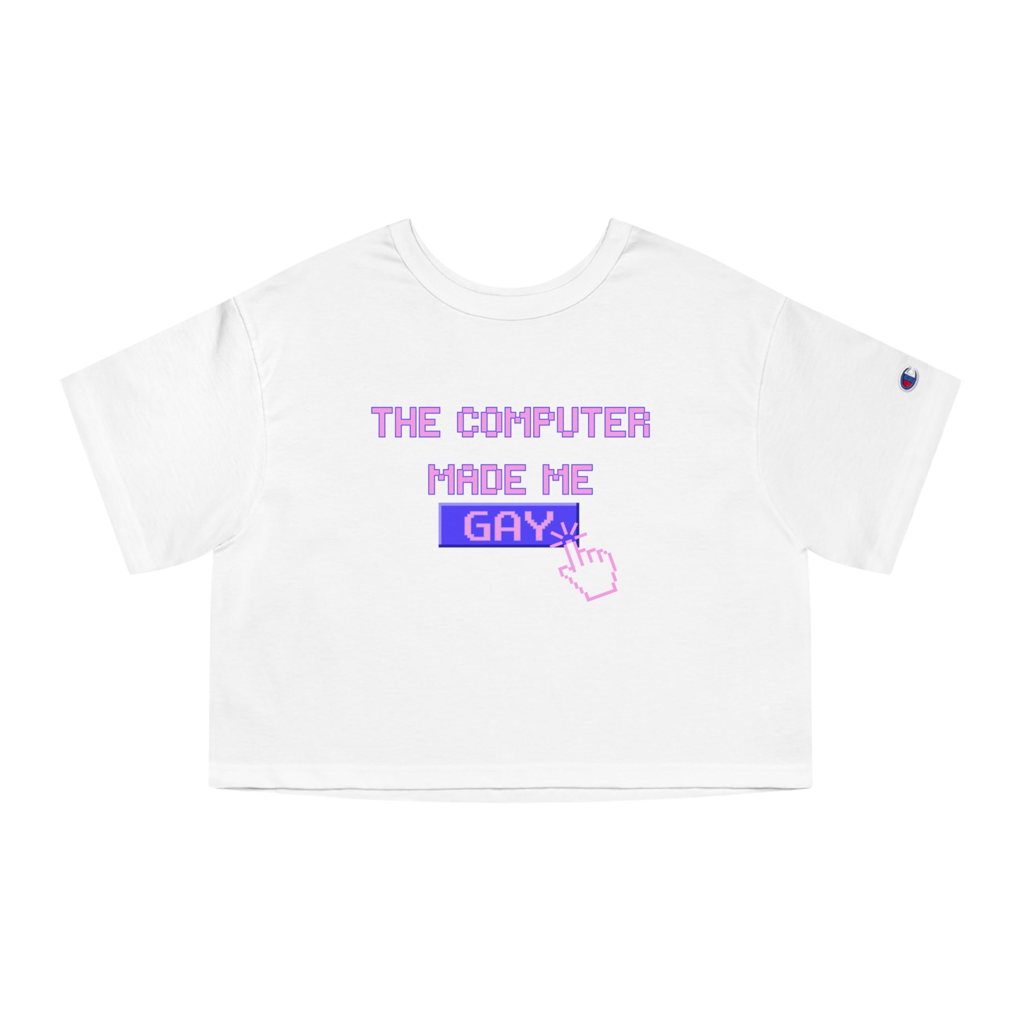 THE COMPUTER MADE ME GAY