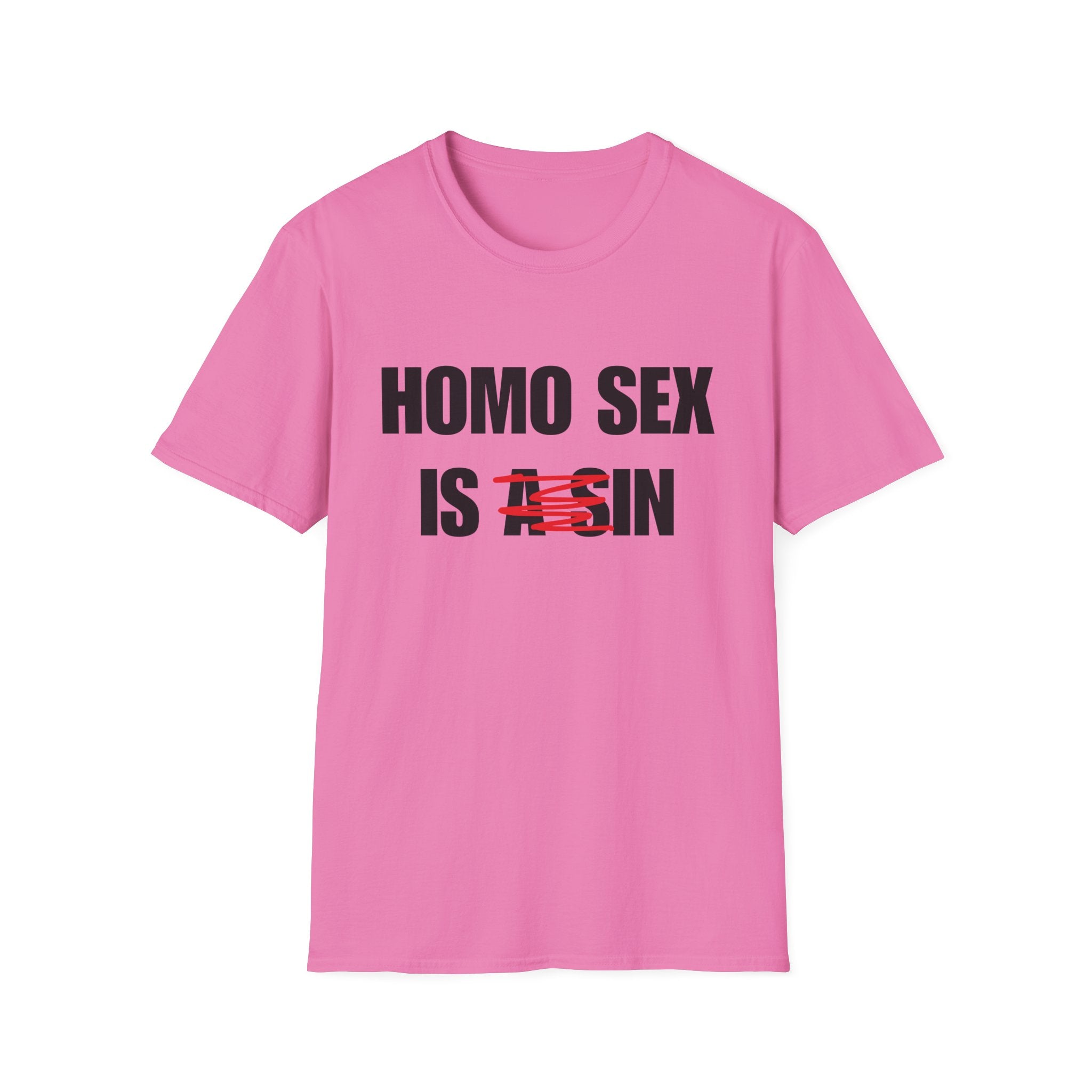 HOMO SEX IS IN