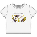 intersects